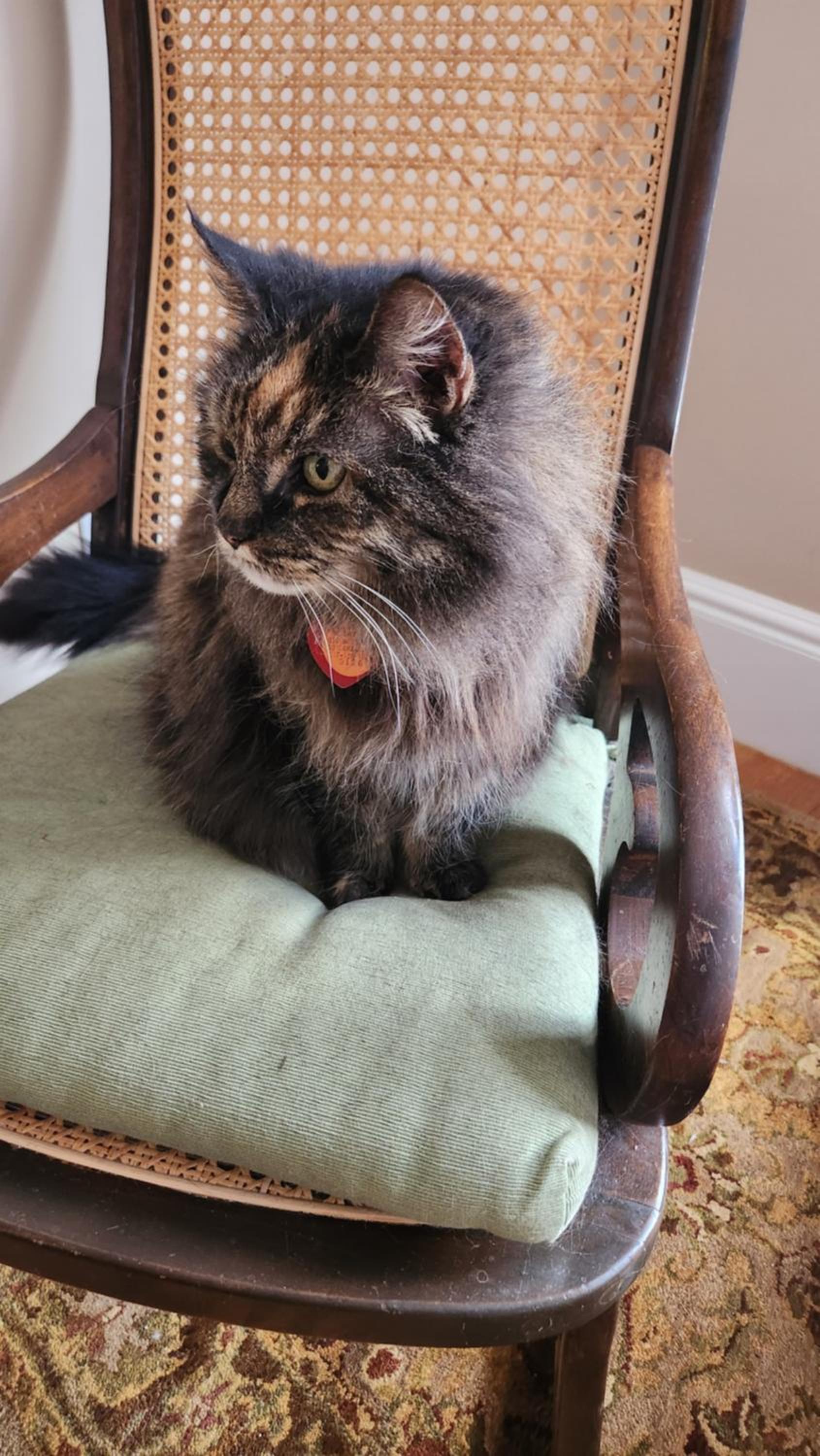 Boston Vacations - Davis Square Inn - Property Image 3