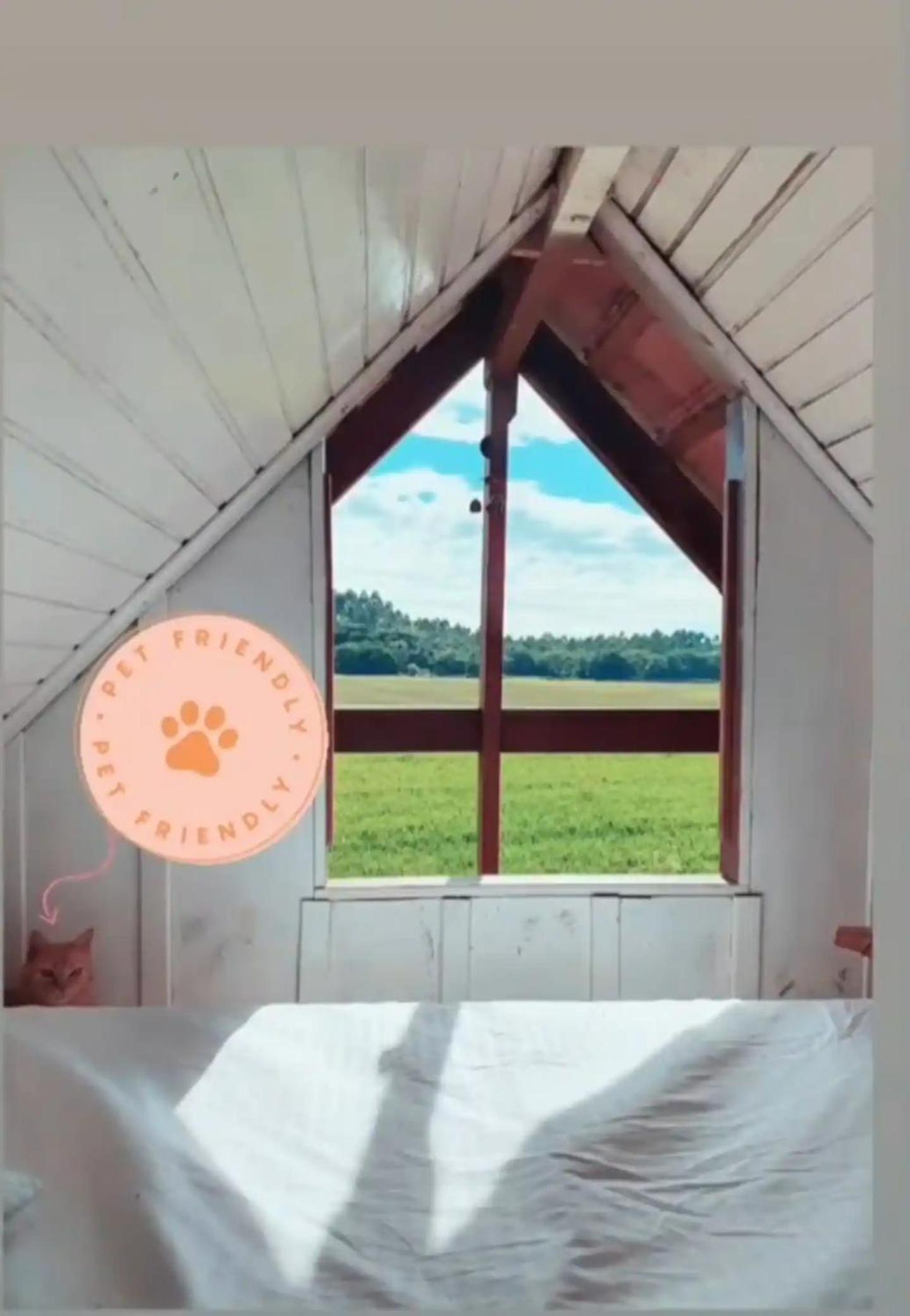 Chalé Sol com hidromassagem em meio a natureza