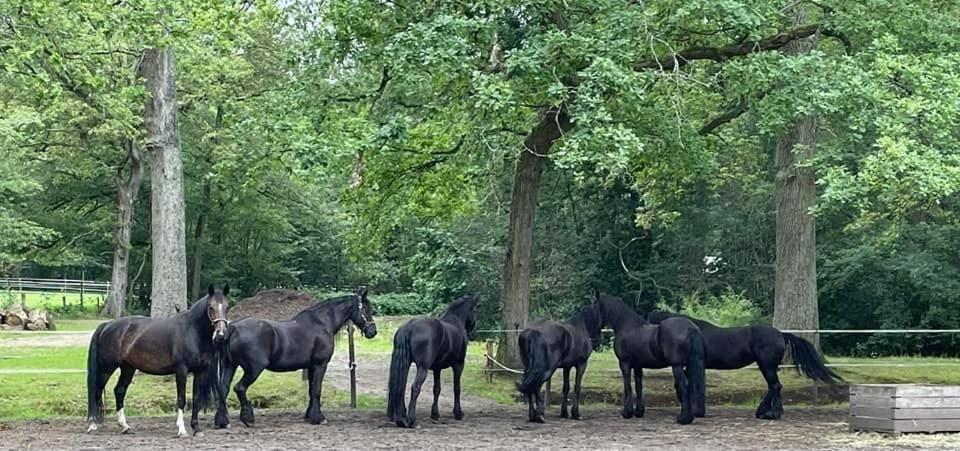 de Swaenhoeve