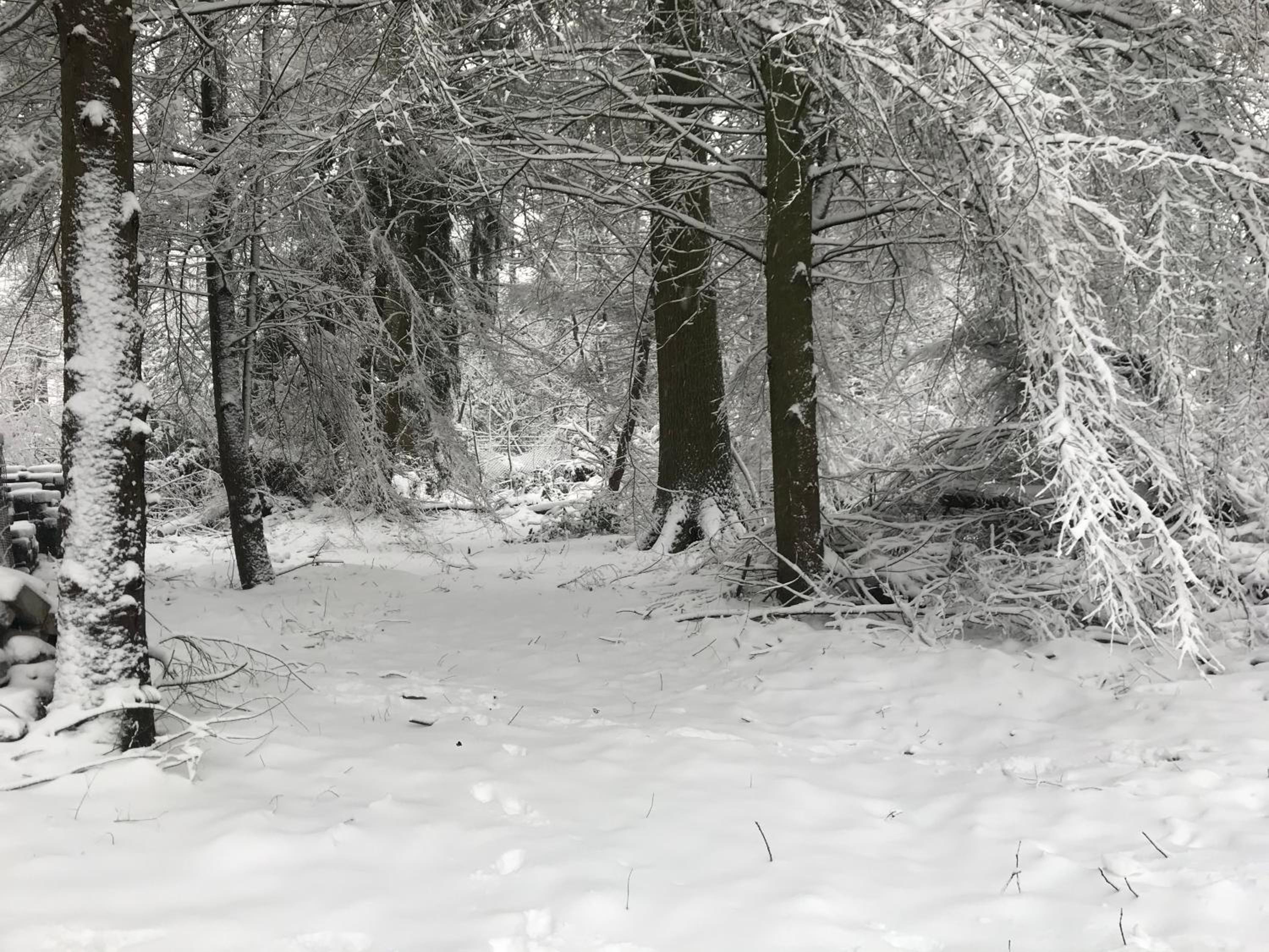 de Swaenhoeve
