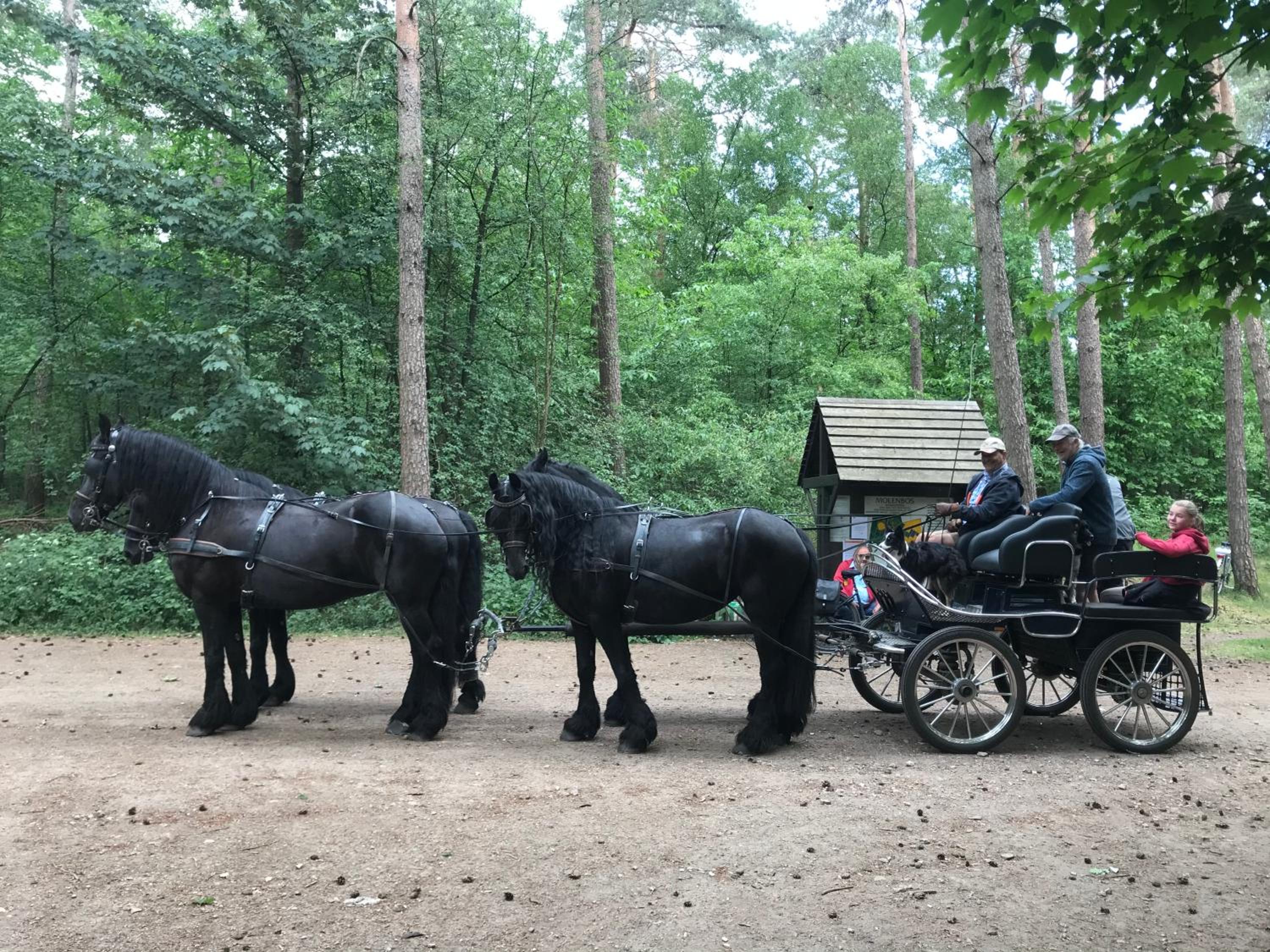 de Swaenhoeve