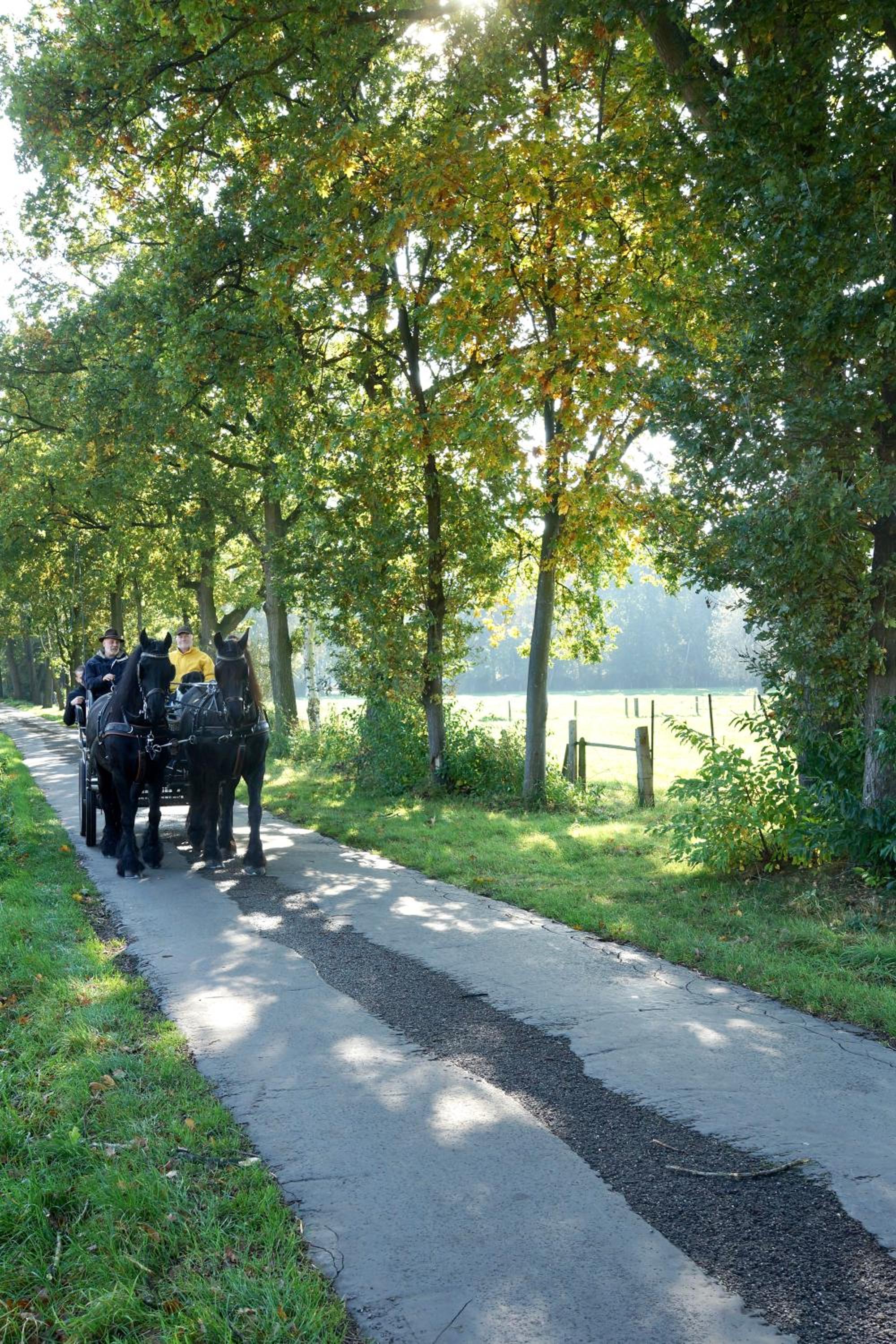 de Swaenhoeve
