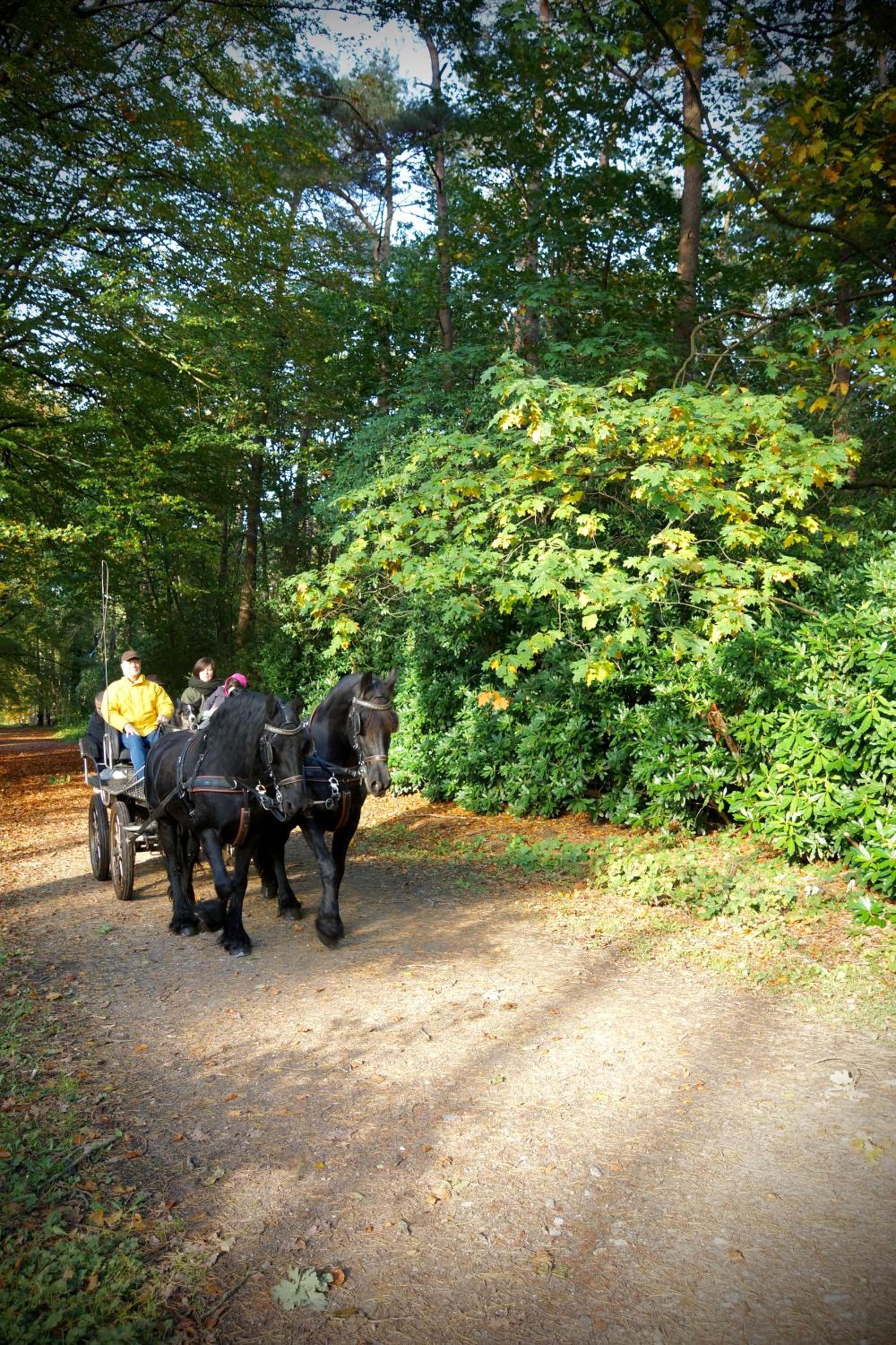 de Swaenhoeve