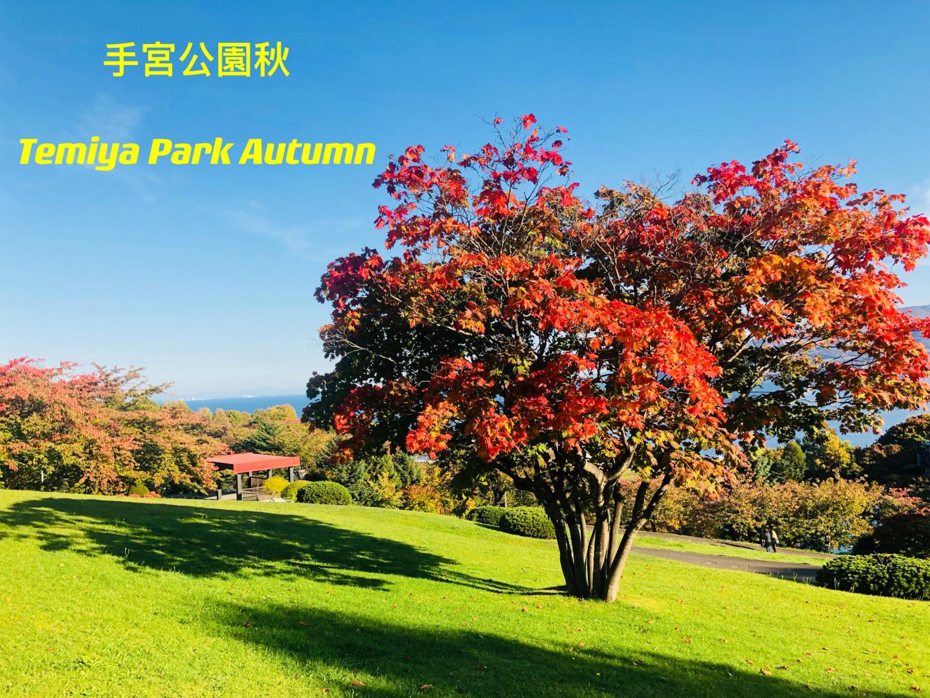 Nishikien inn 錦園