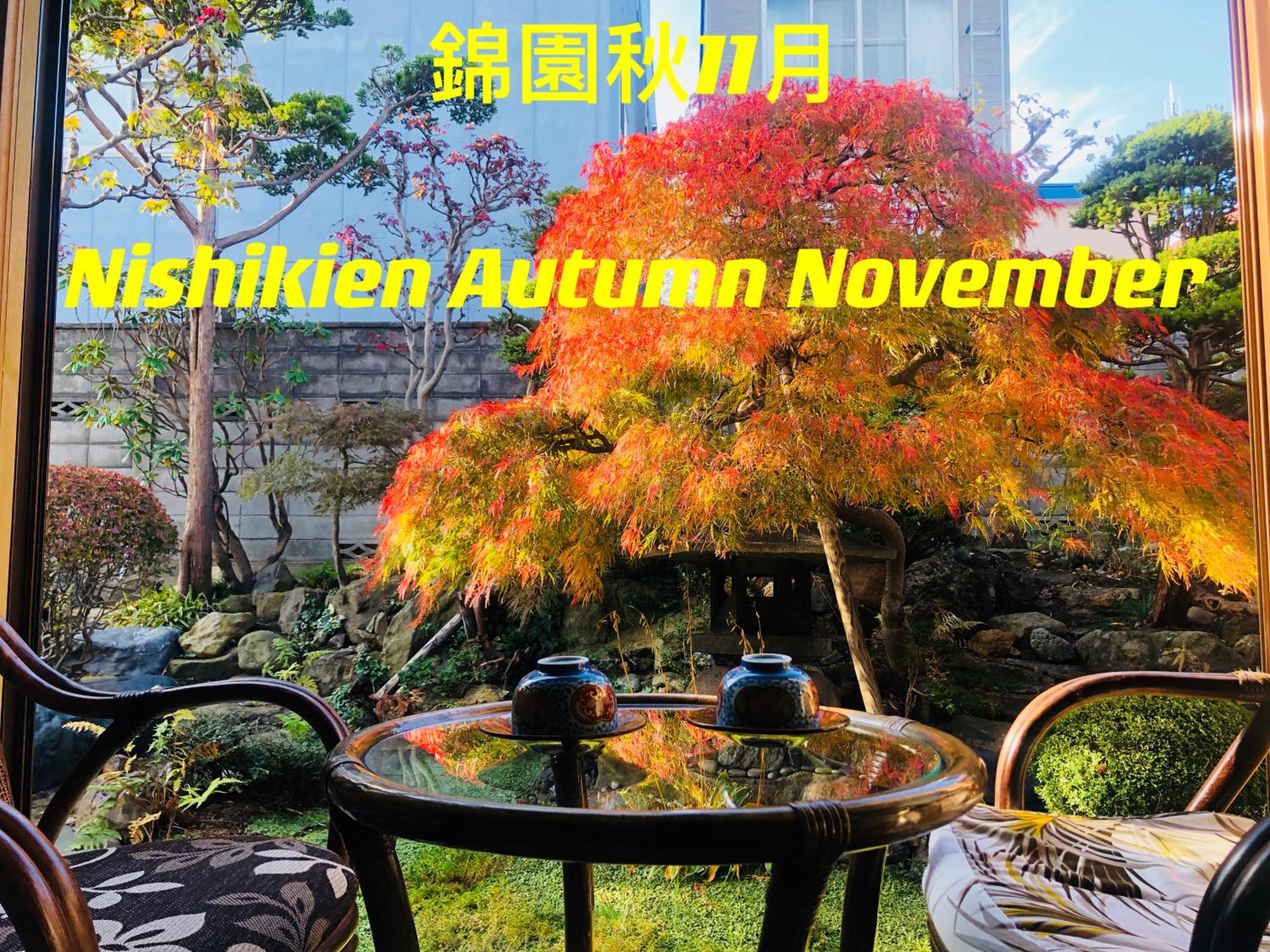 Nishikien inn 錦園