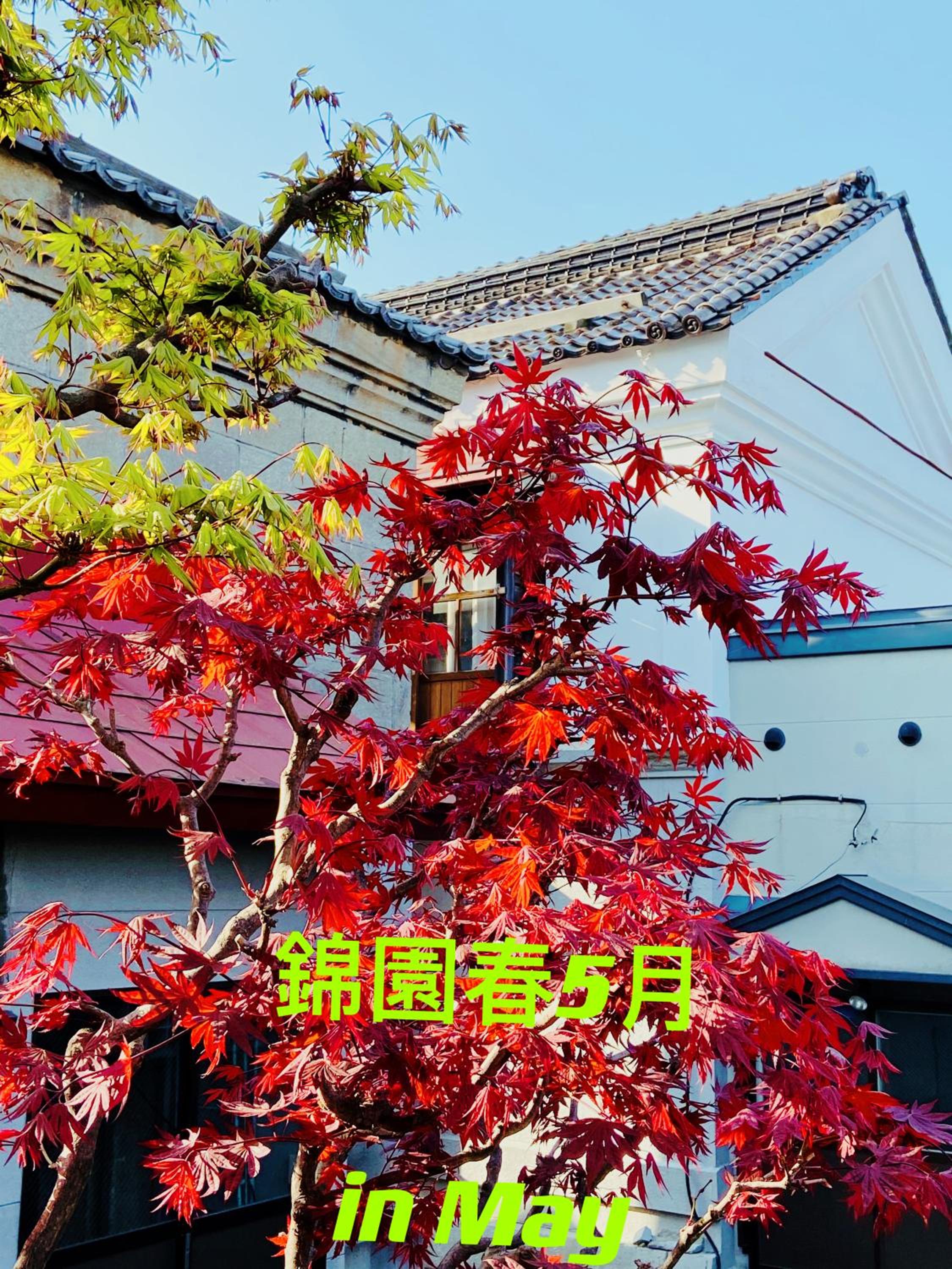 Nishikien inn 錦園