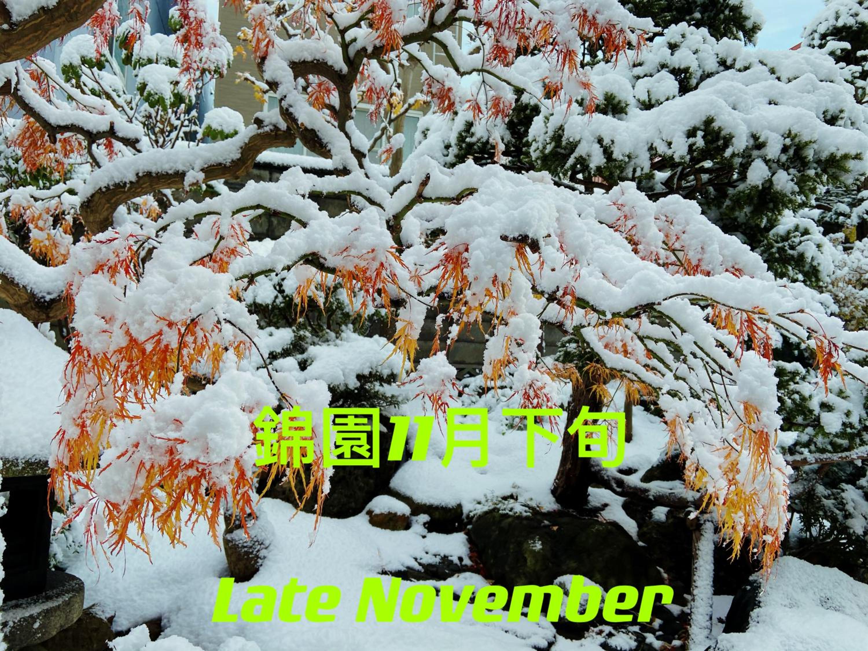 Nishikien inn 錦園