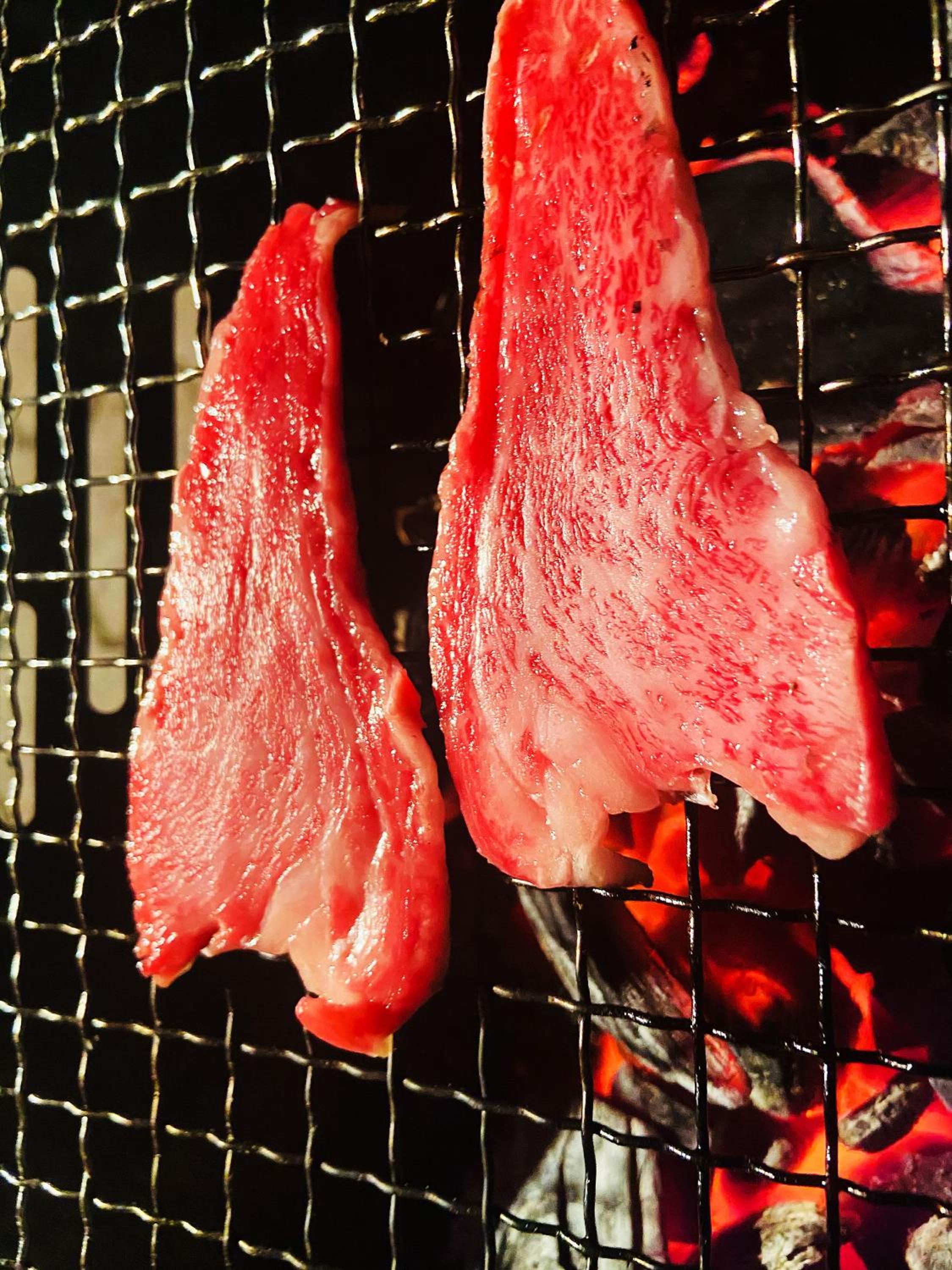 Nishikien inn 錦園