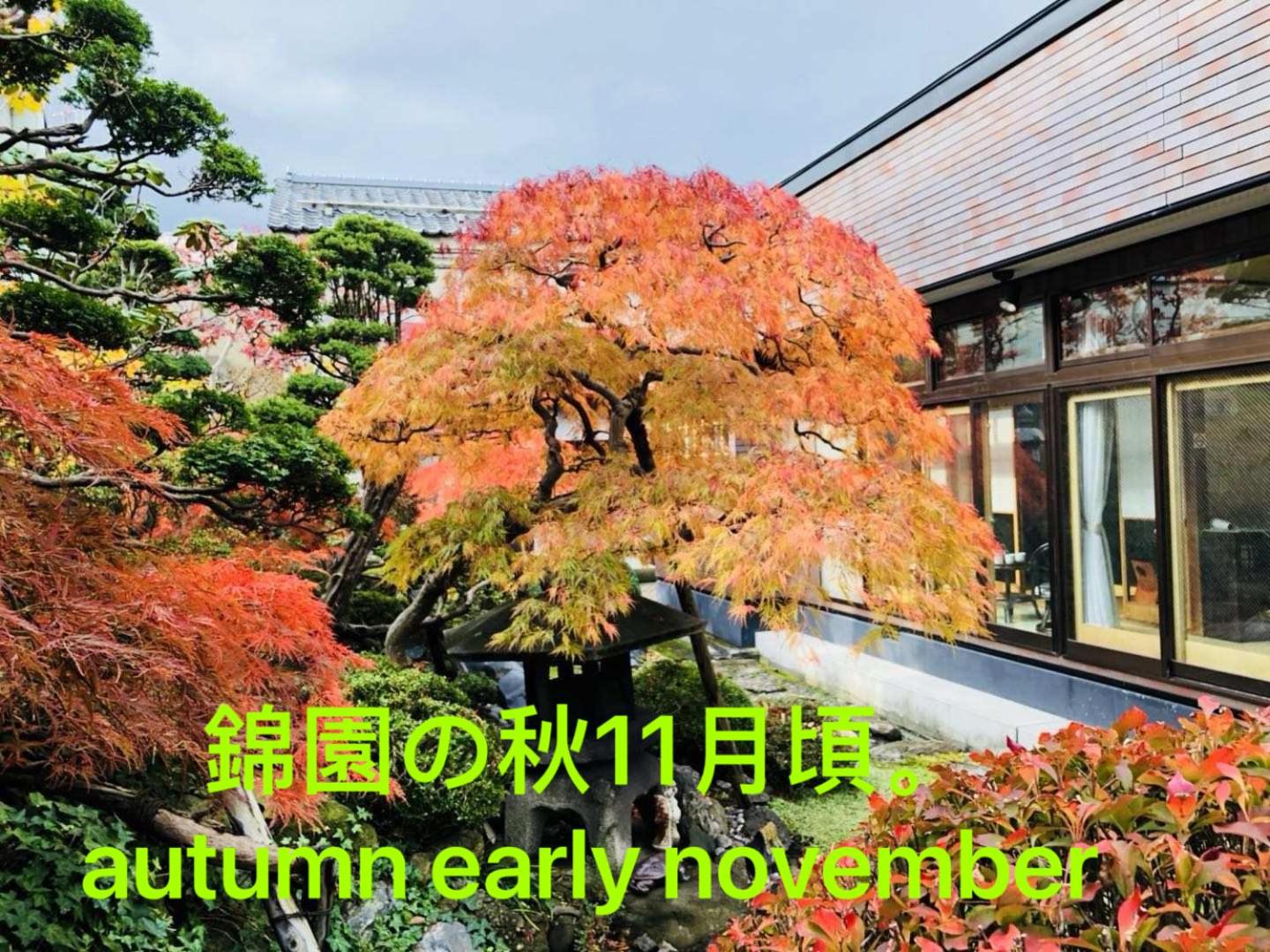 Nishikien inn 錦園