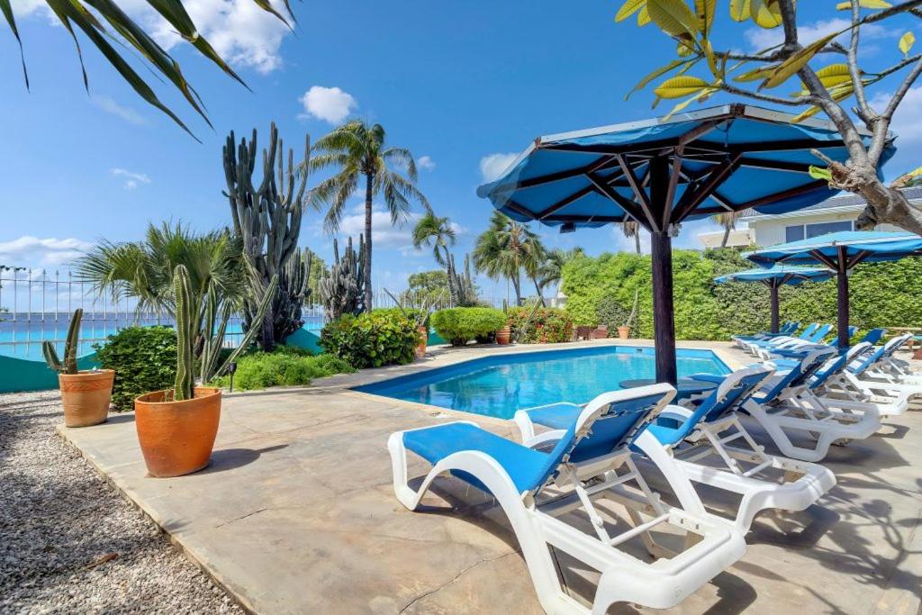 Bonaire Oceanfront Apartments