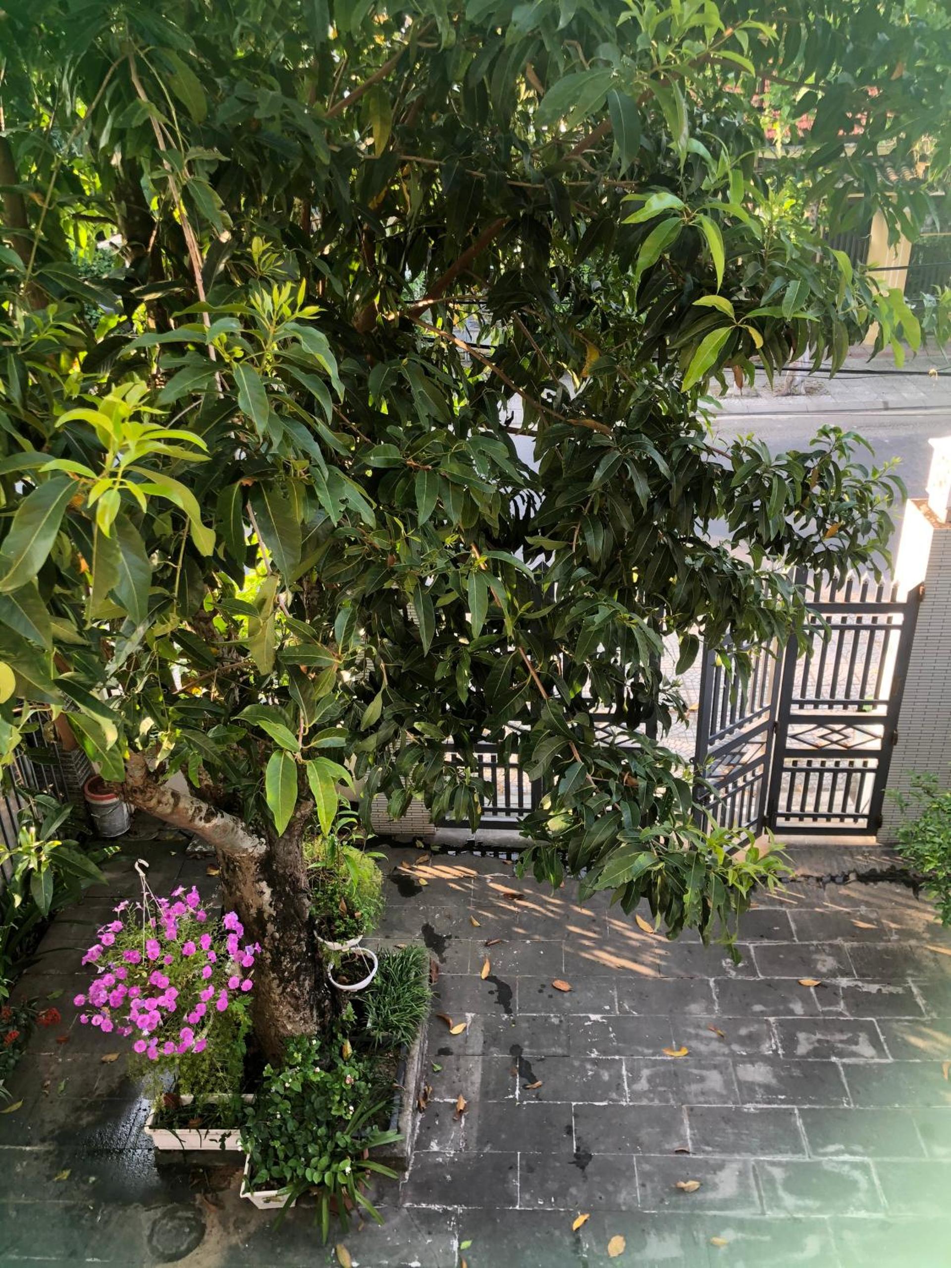 Homestay Phương House