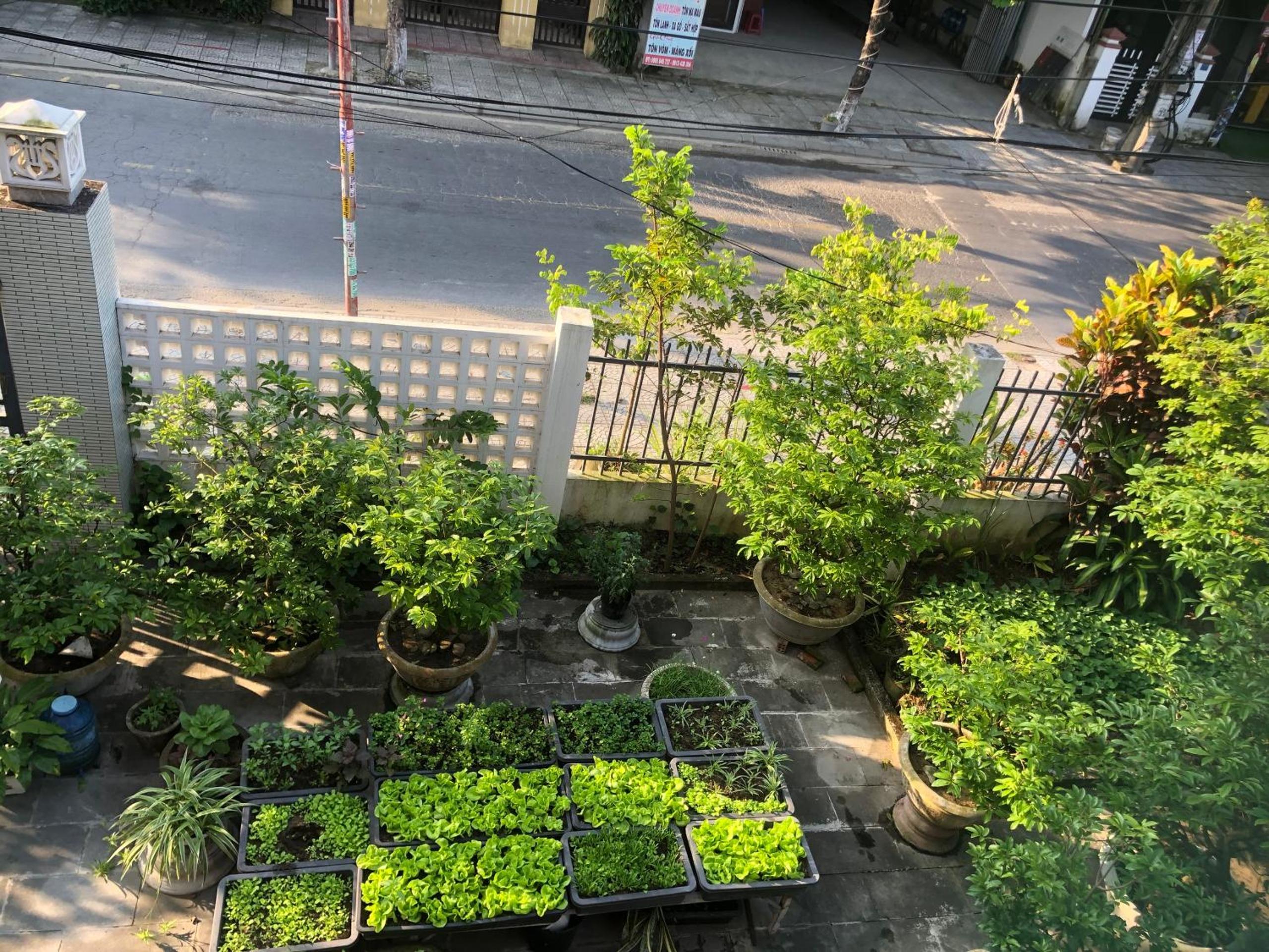 Homestay Phương House