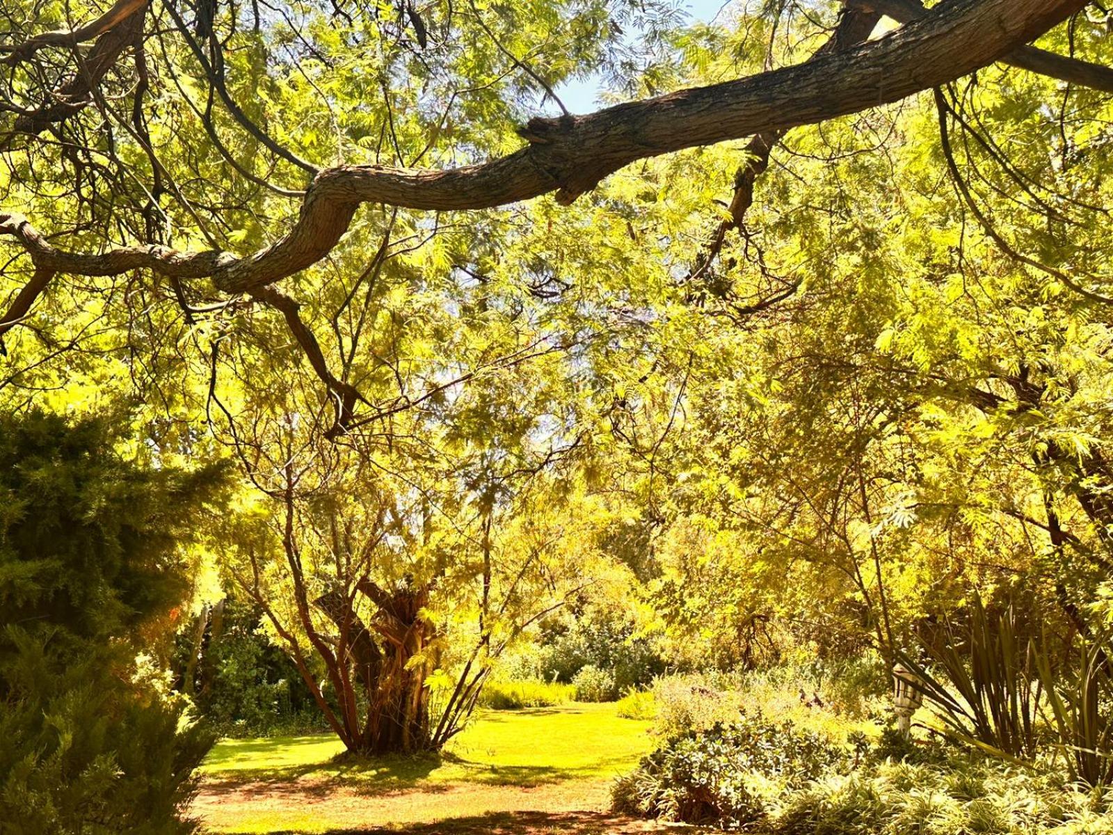 Photo 33