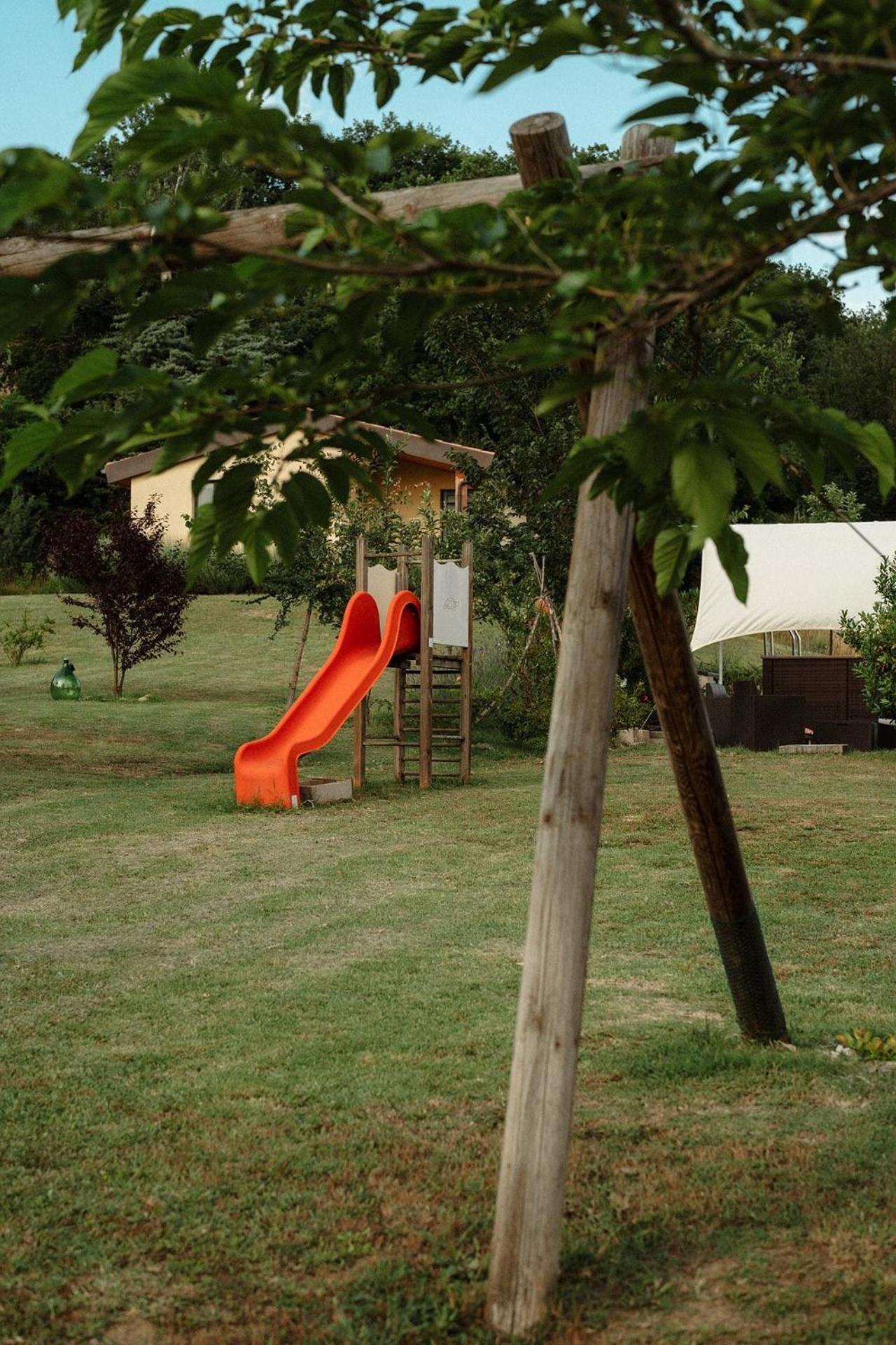 Photo 36