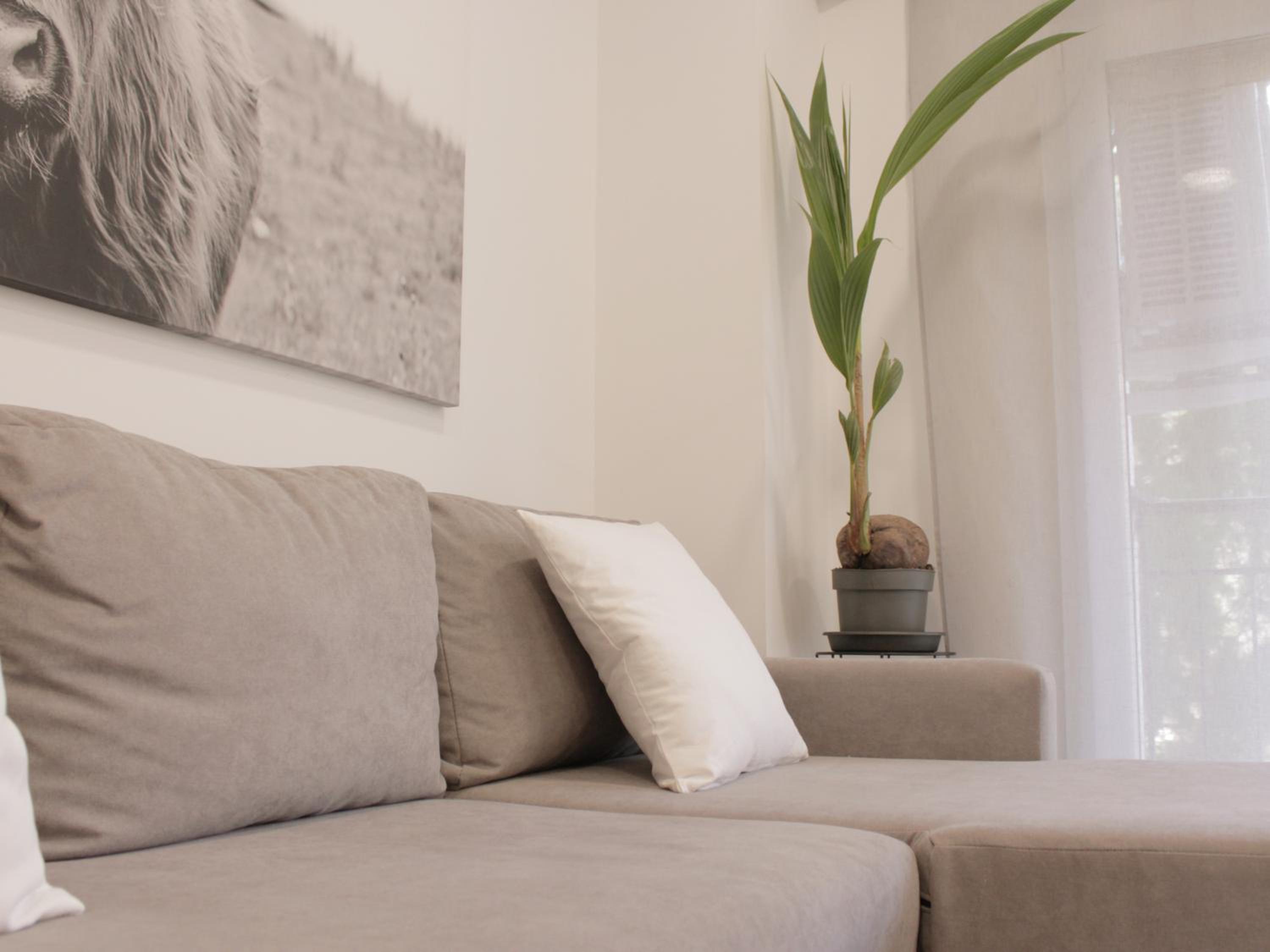 Cuenca Home