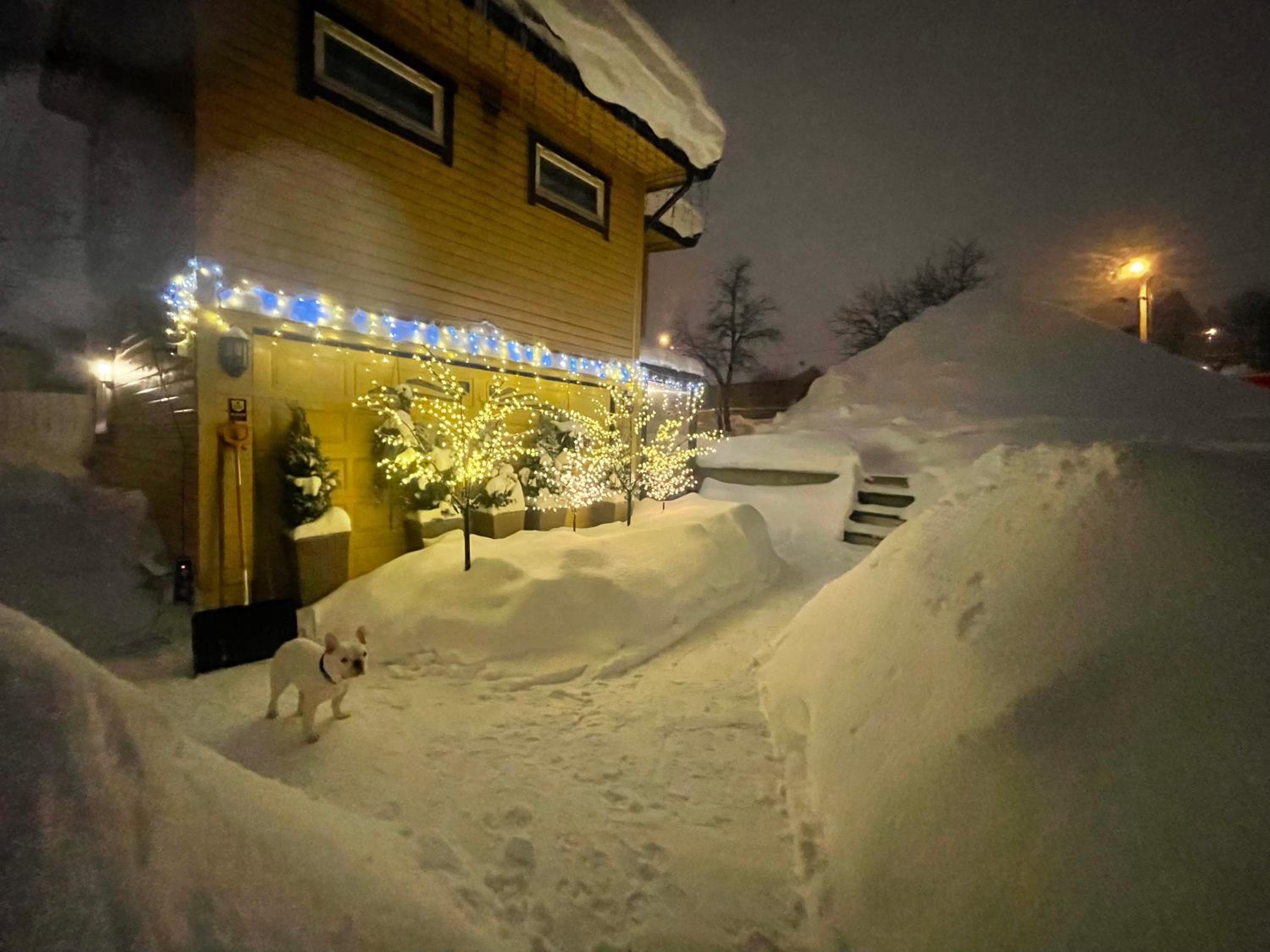 Guesthouse in Tromso center by Dada view 5
