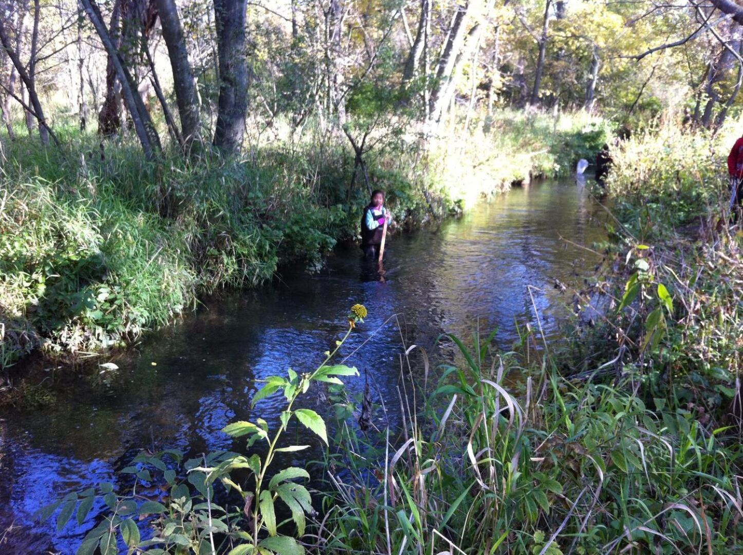 Photo 11