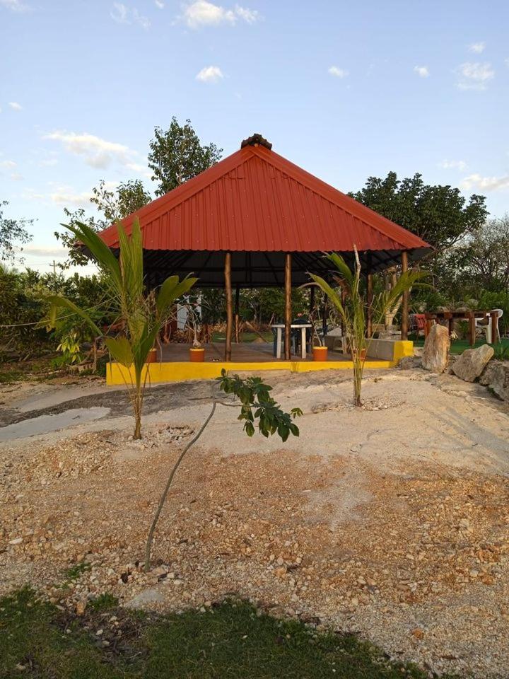Photo 49