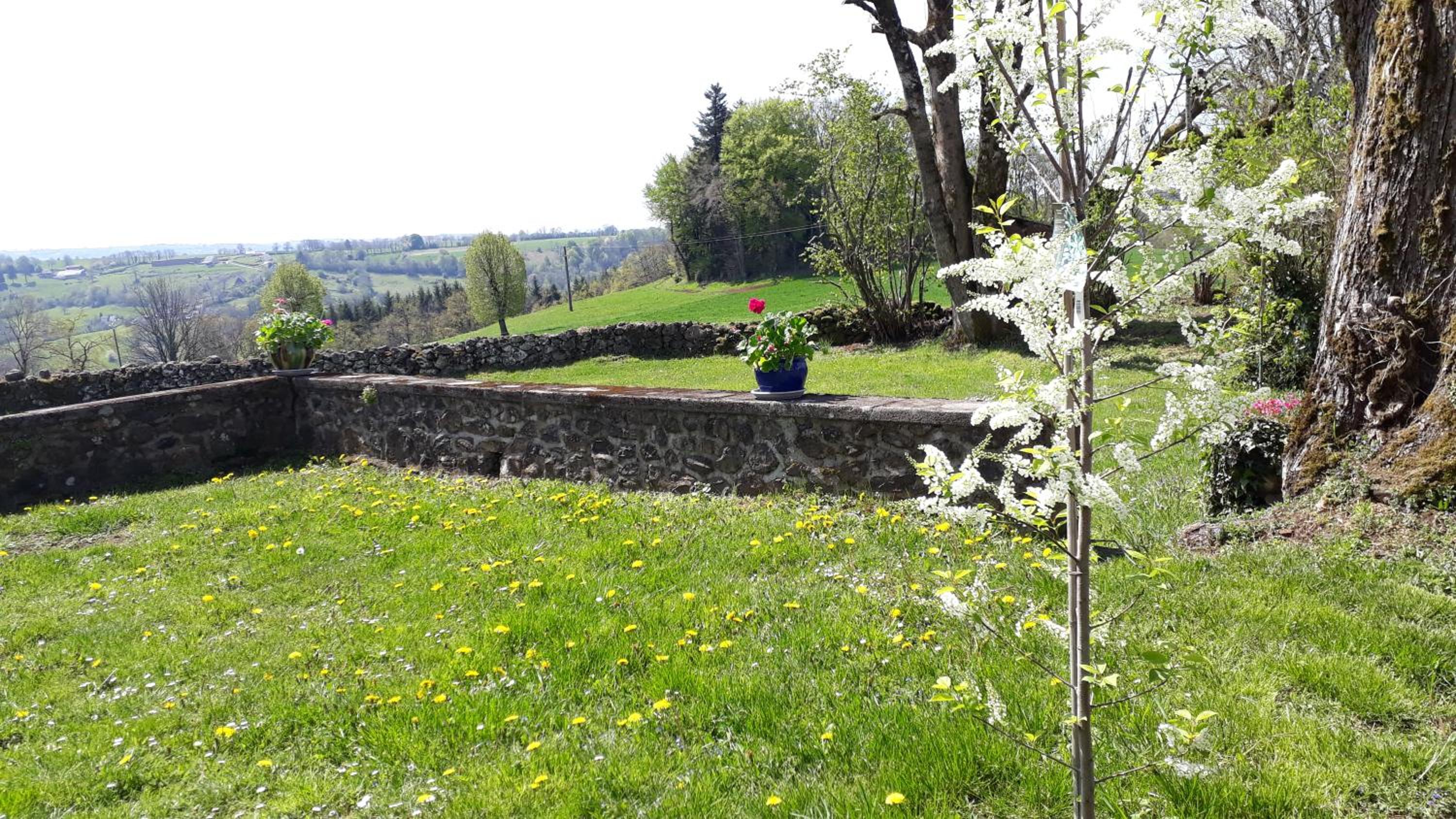 Gîte du Bosquet Pays de Salers Cantal