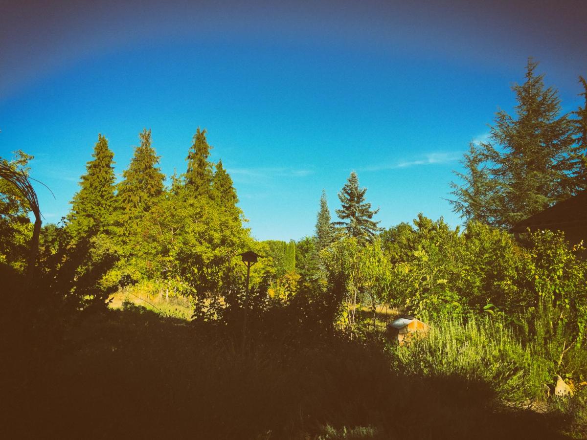 La Montagne Sud view 2
