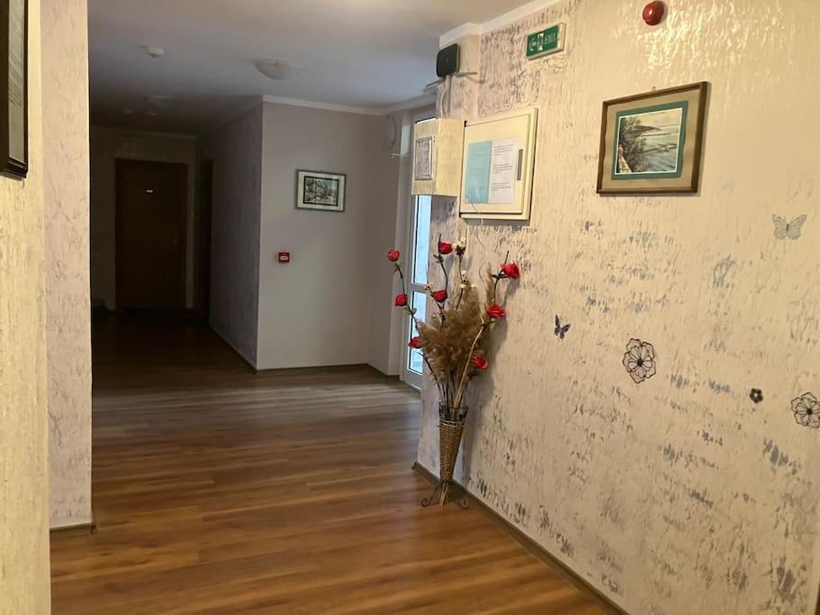 Joy Apartment Sunny Beach