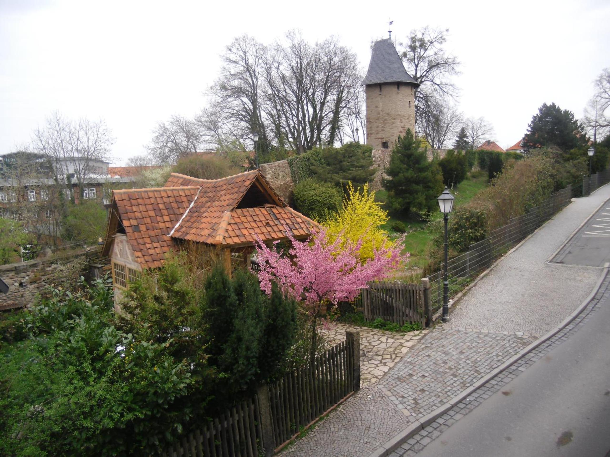 Ferienwohnung Brockenblick