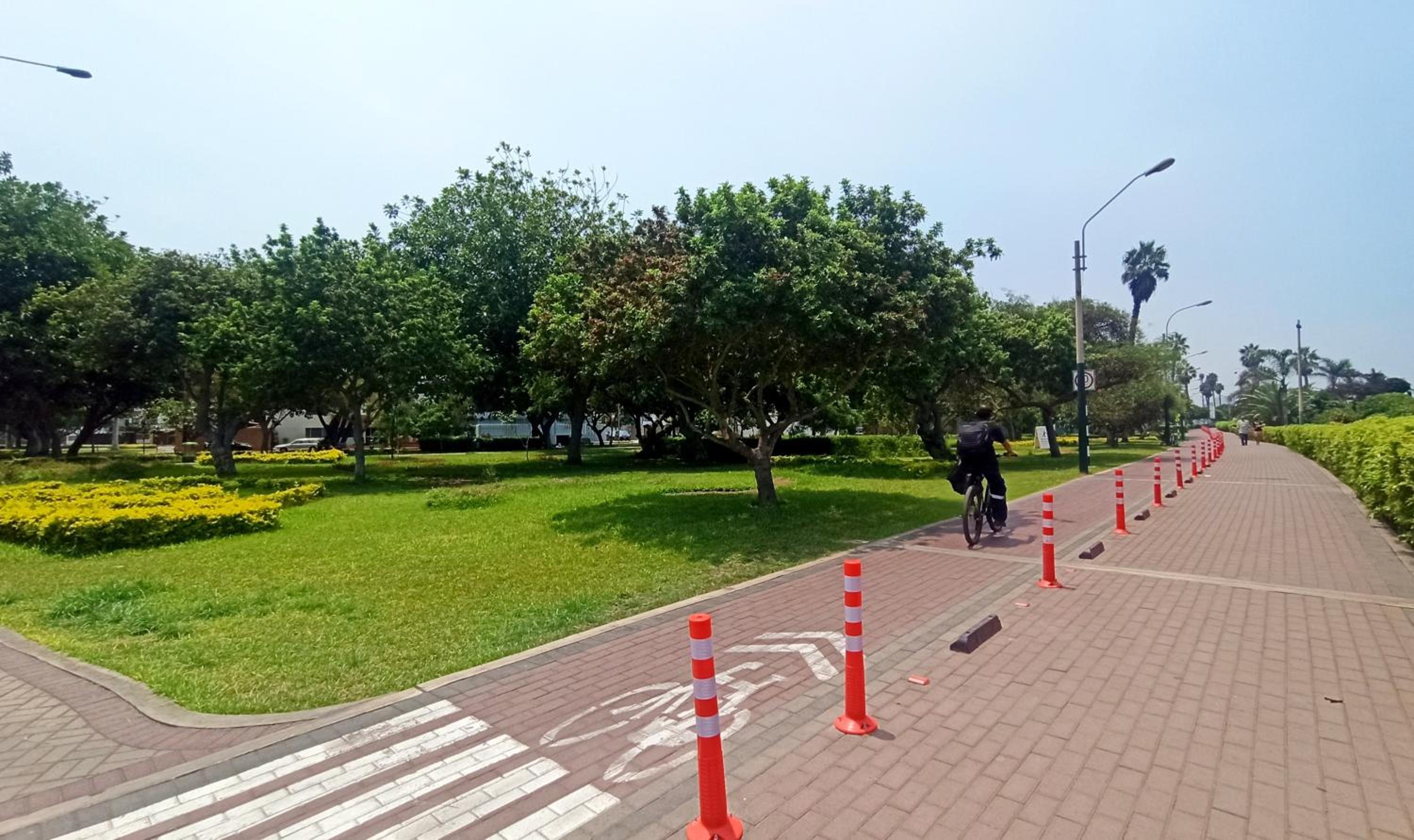 Photo 41