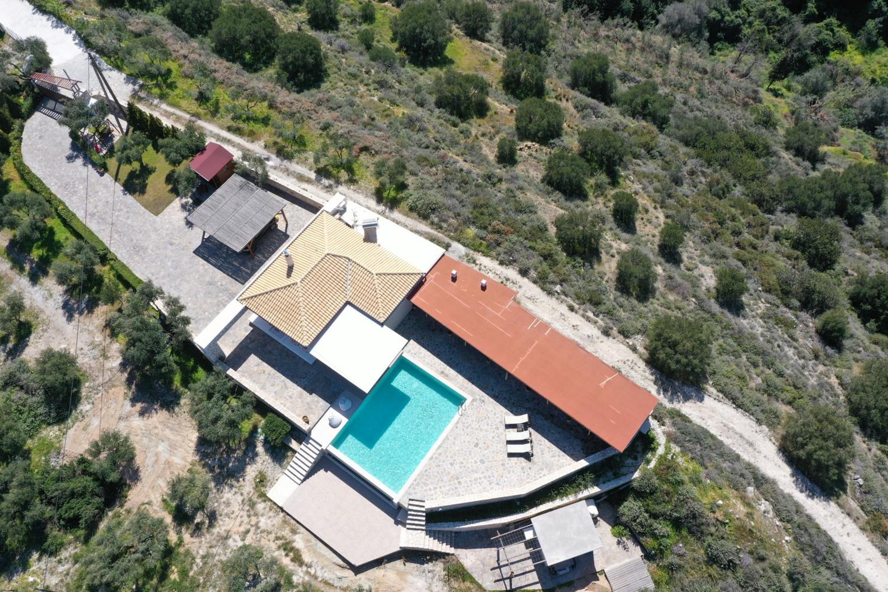 Olive Grove view 3