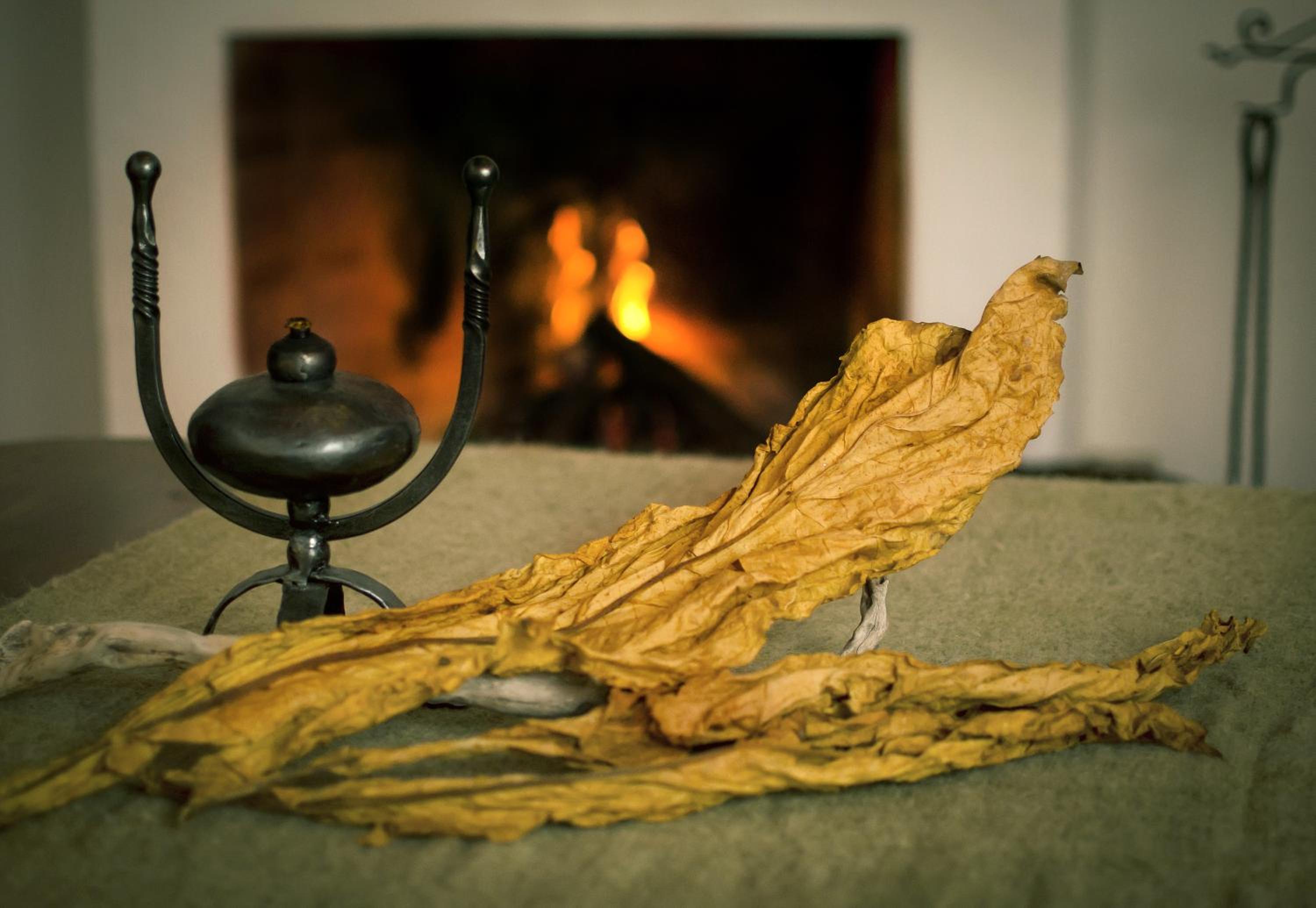 Finca Las Margaritas