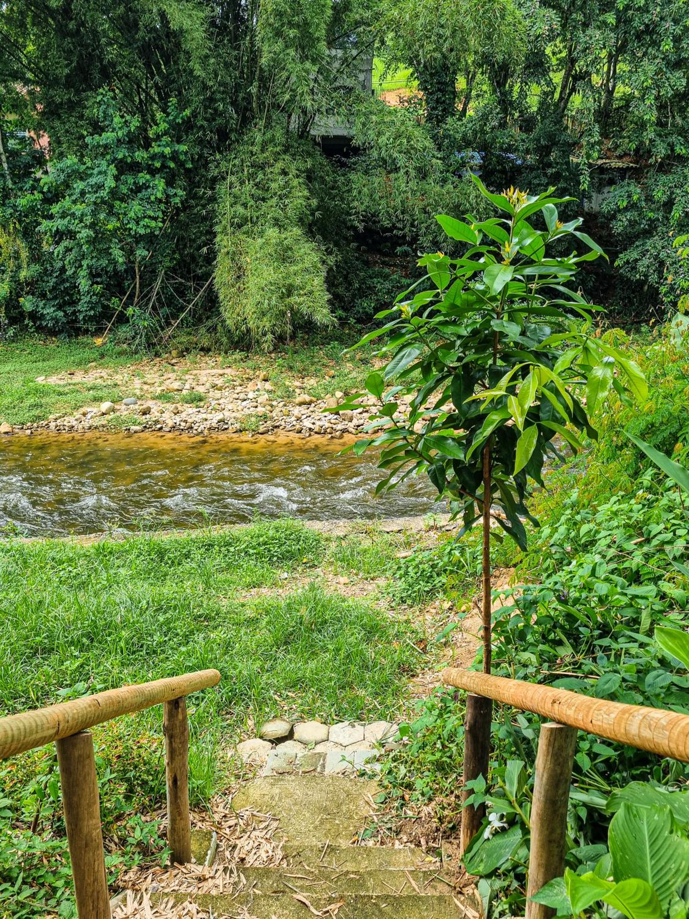 Refúgio dos Amigos casas e apartamentos