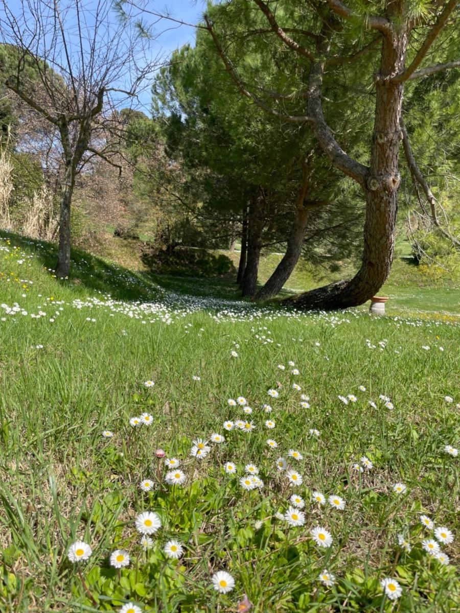 Photo 35