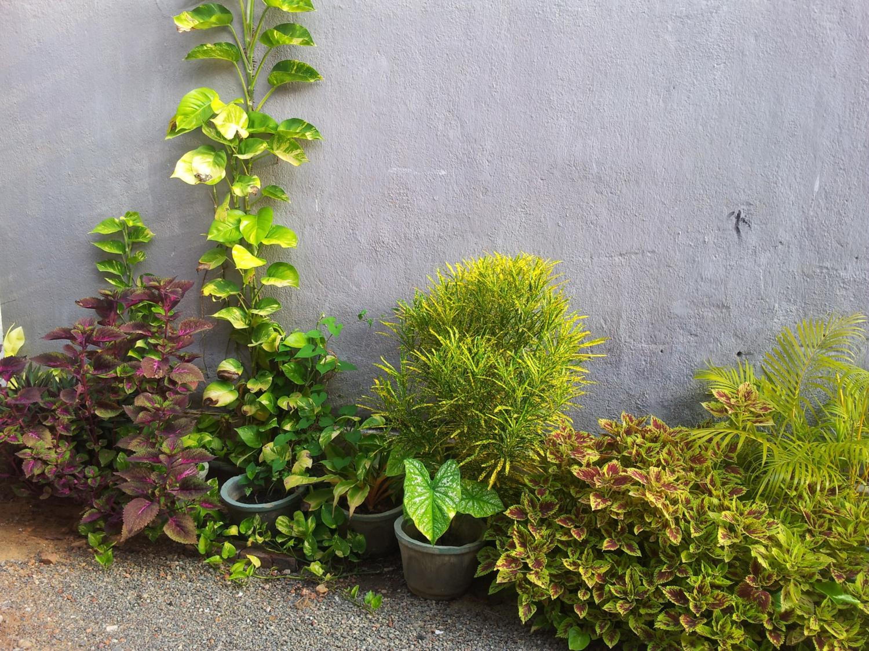 Janishi Residencies