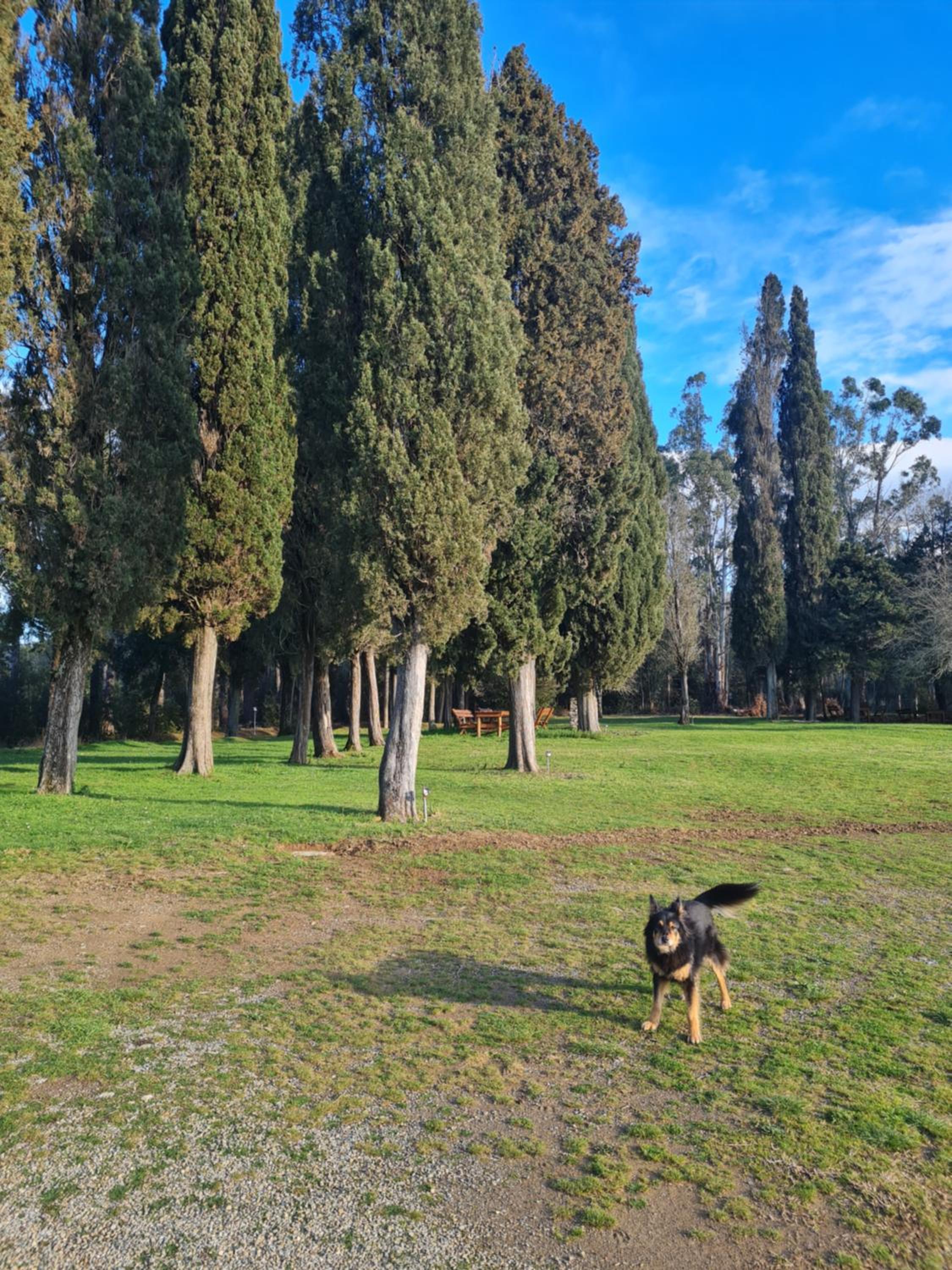 Photo 44