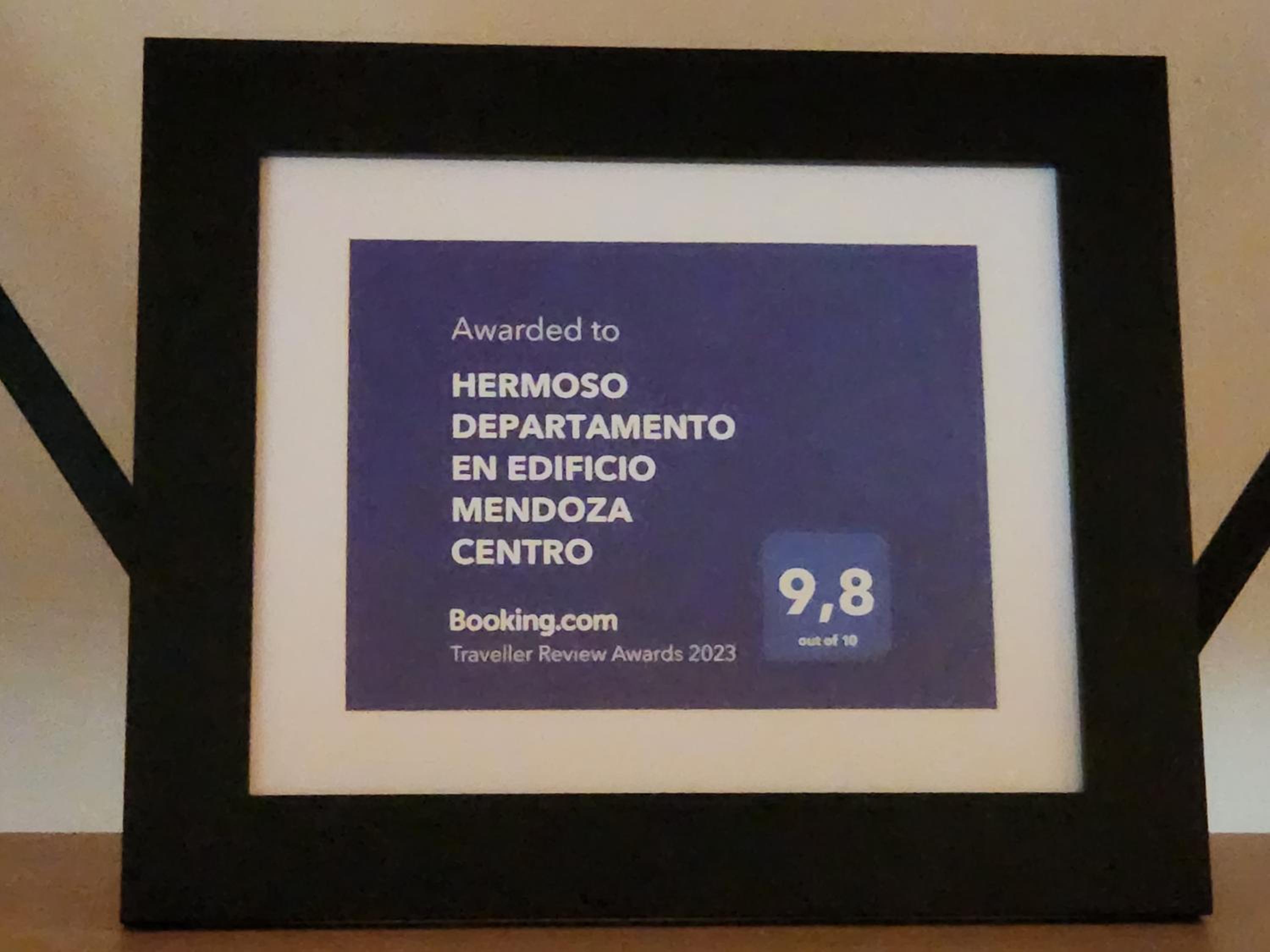 HERMOSO DEPARTAMENTO EN EDIFICIO MENDOZA CENTRO