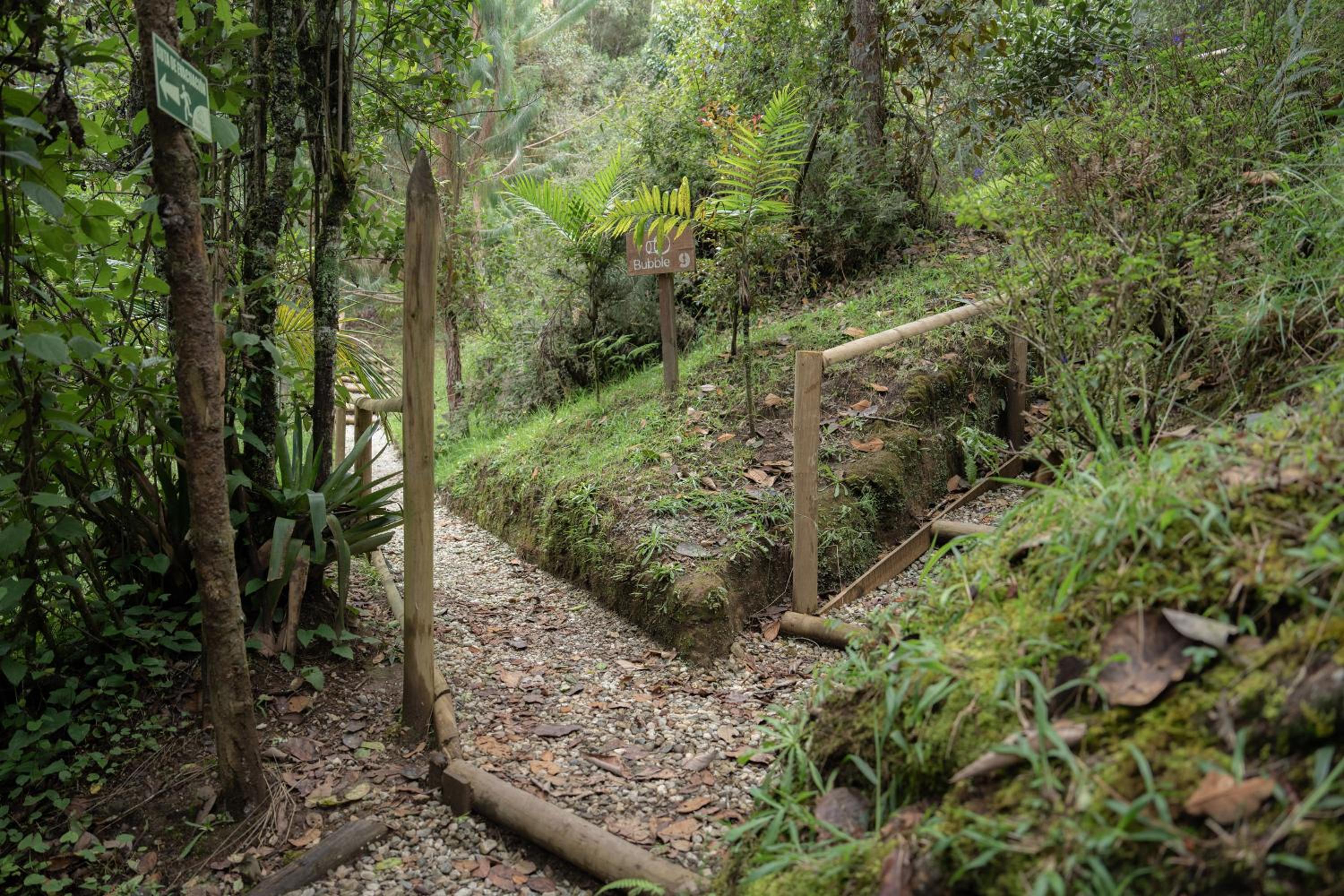 BubbleSky Glamping 40 min from Medellin - Property Image 56