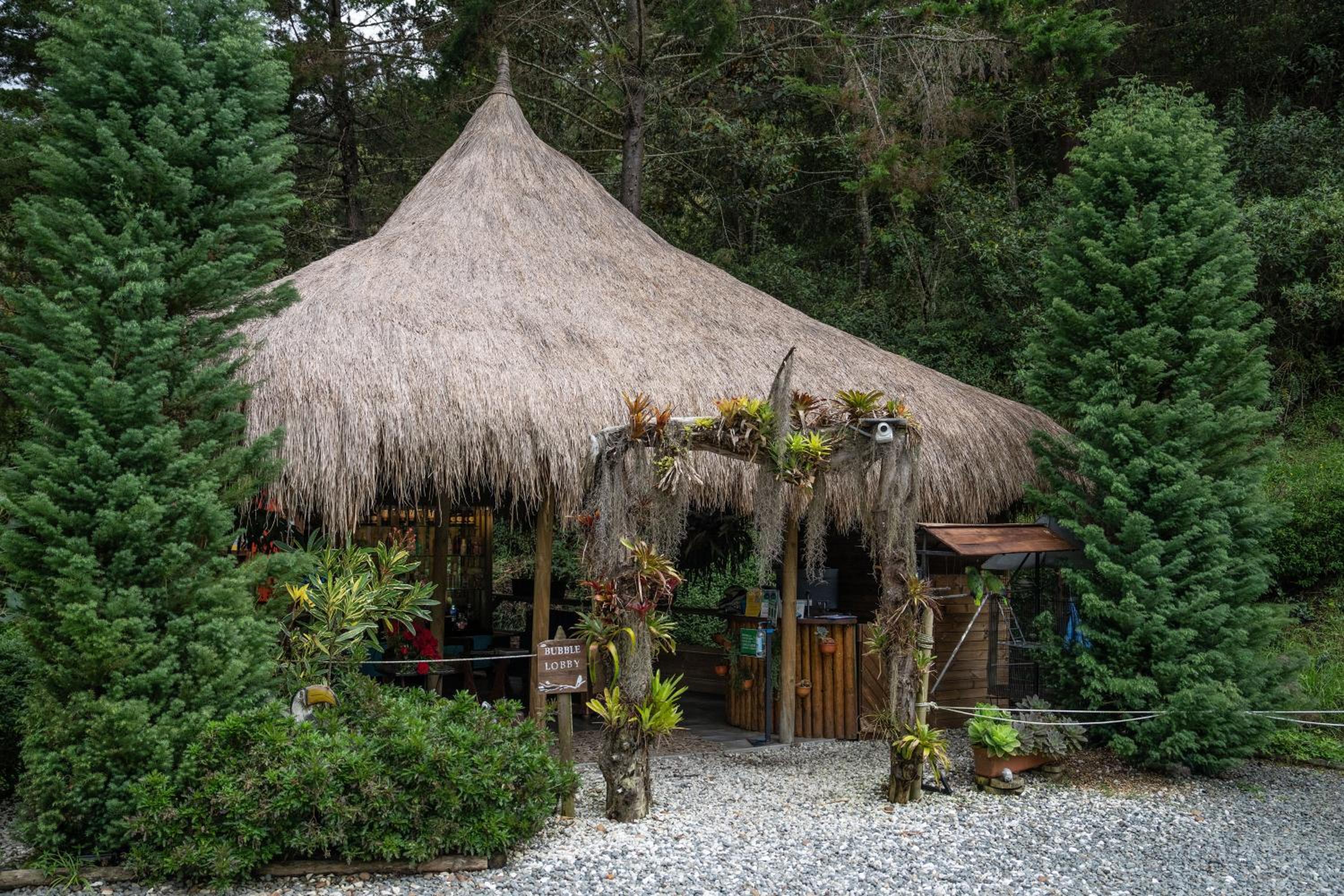 BubbleSky Glamping 40 min from Medellin - Property Image 58