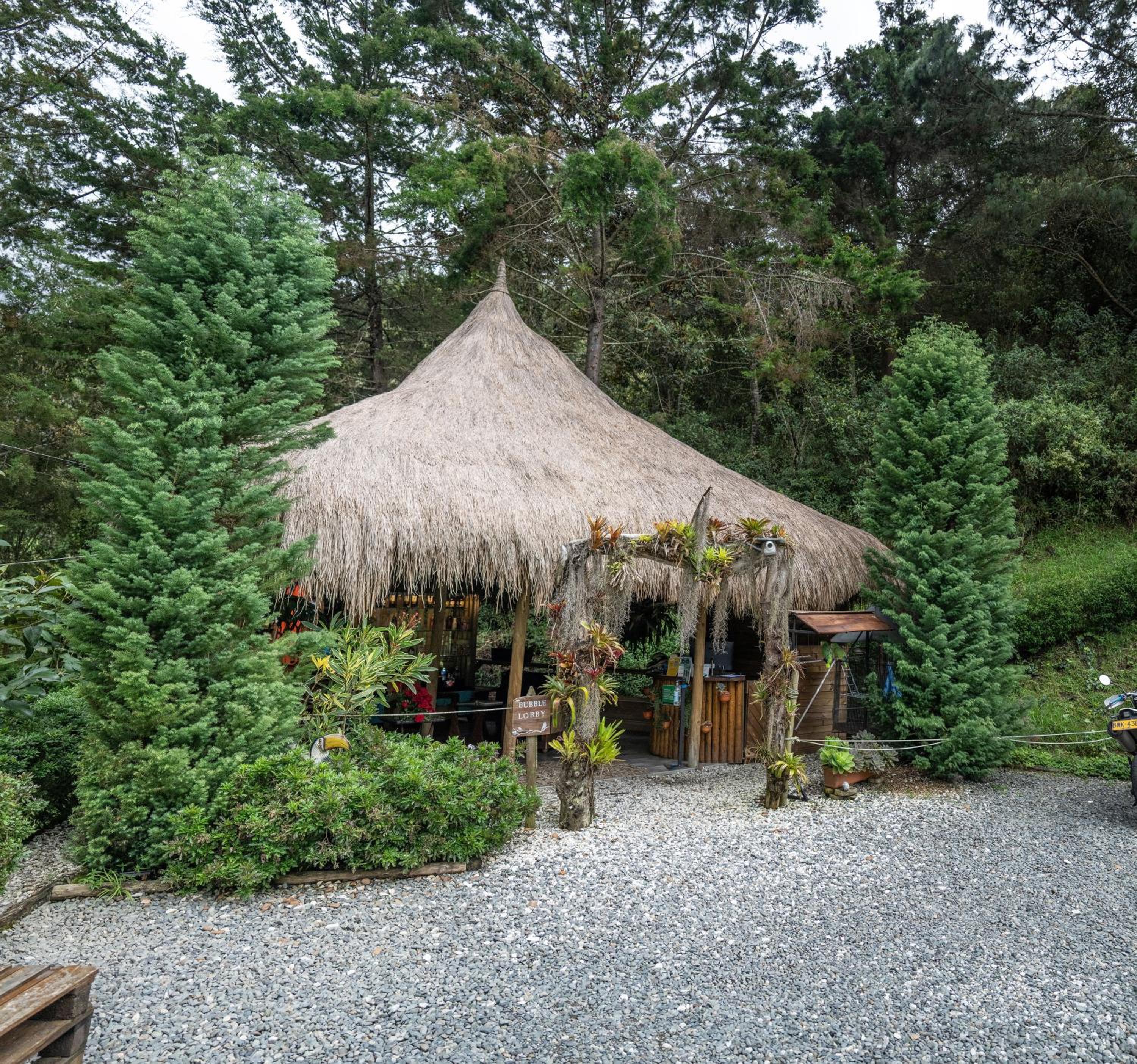 BubbleSky Glamping 40 min from Medellin - Property Image 59