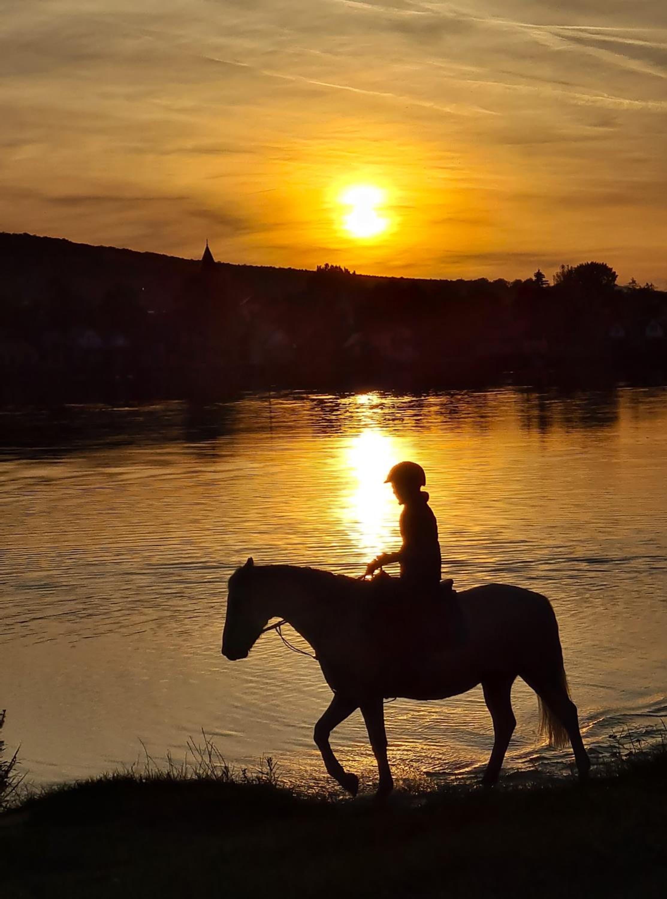 Palatinus Apartman Esztergom