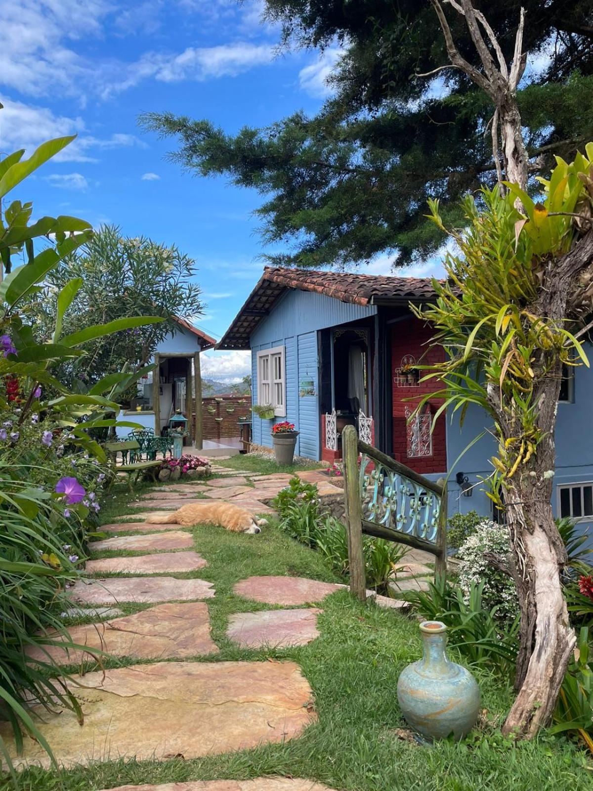 Casa das flores - Lavras Novas
