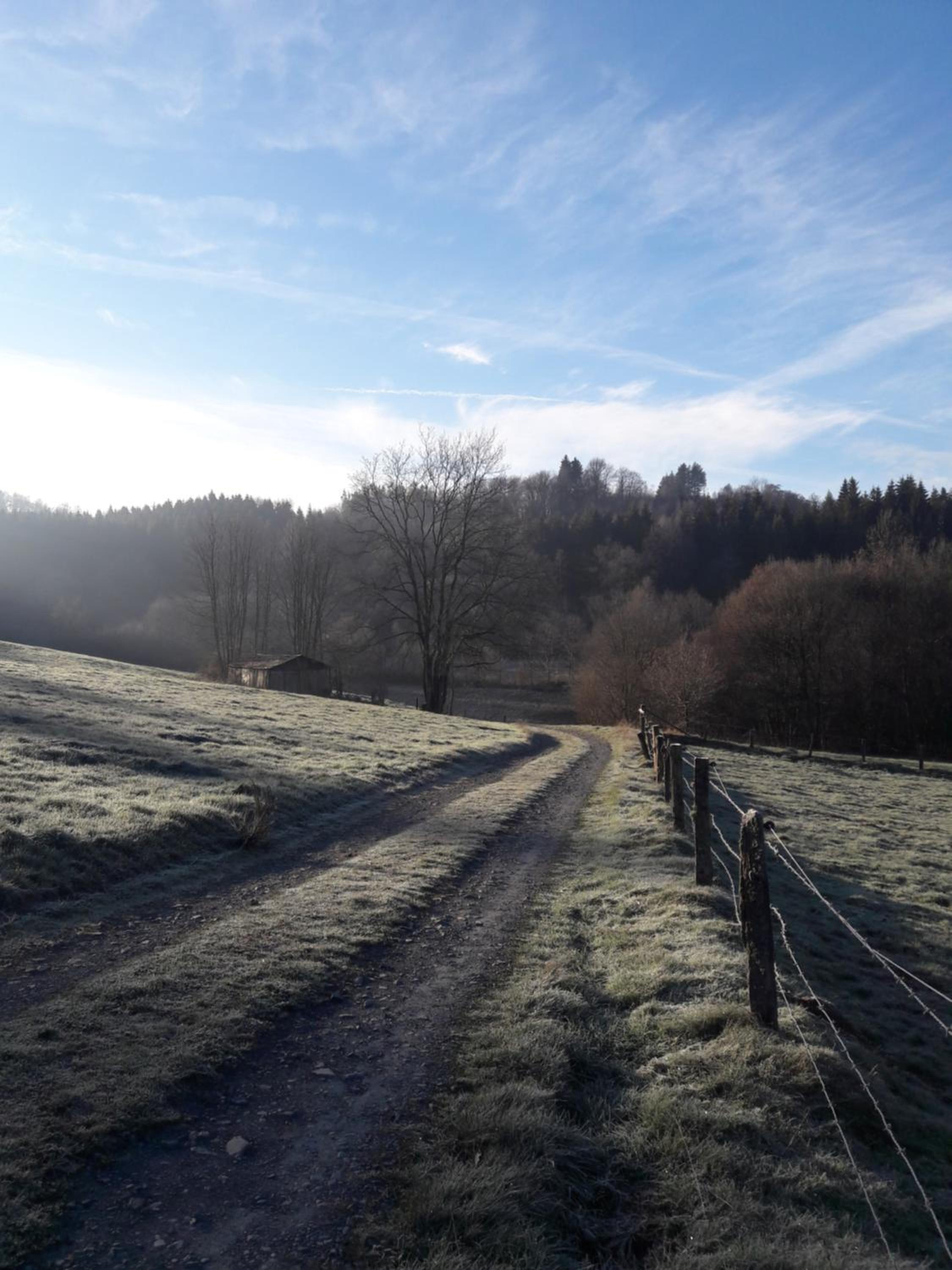 B&B En face du Marronnier