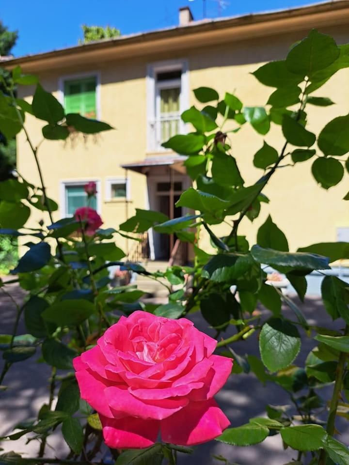 Balaton Panzió