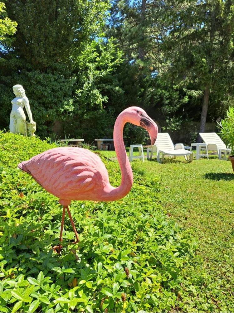Balaton Panzió