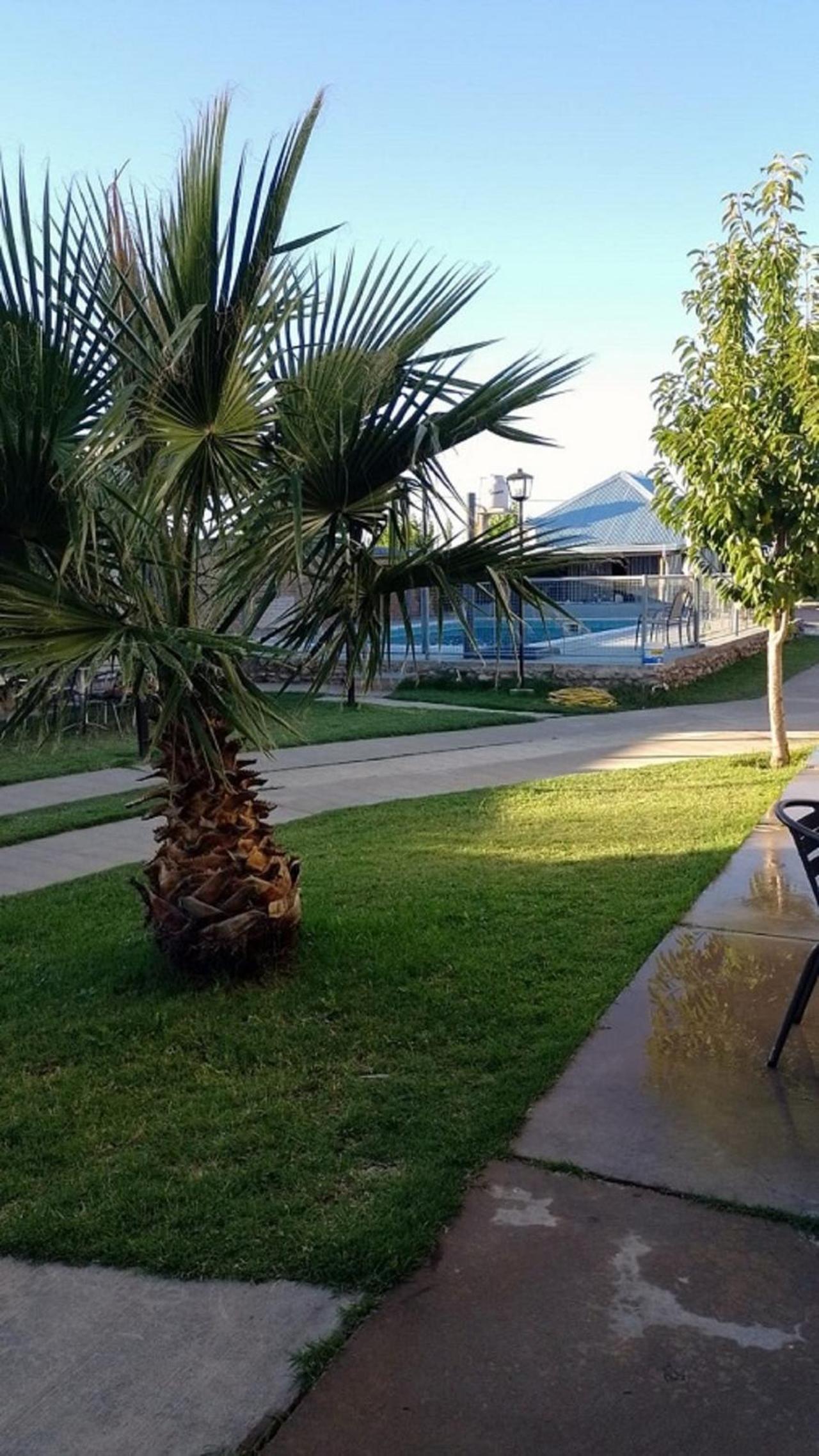 Alma de Campo