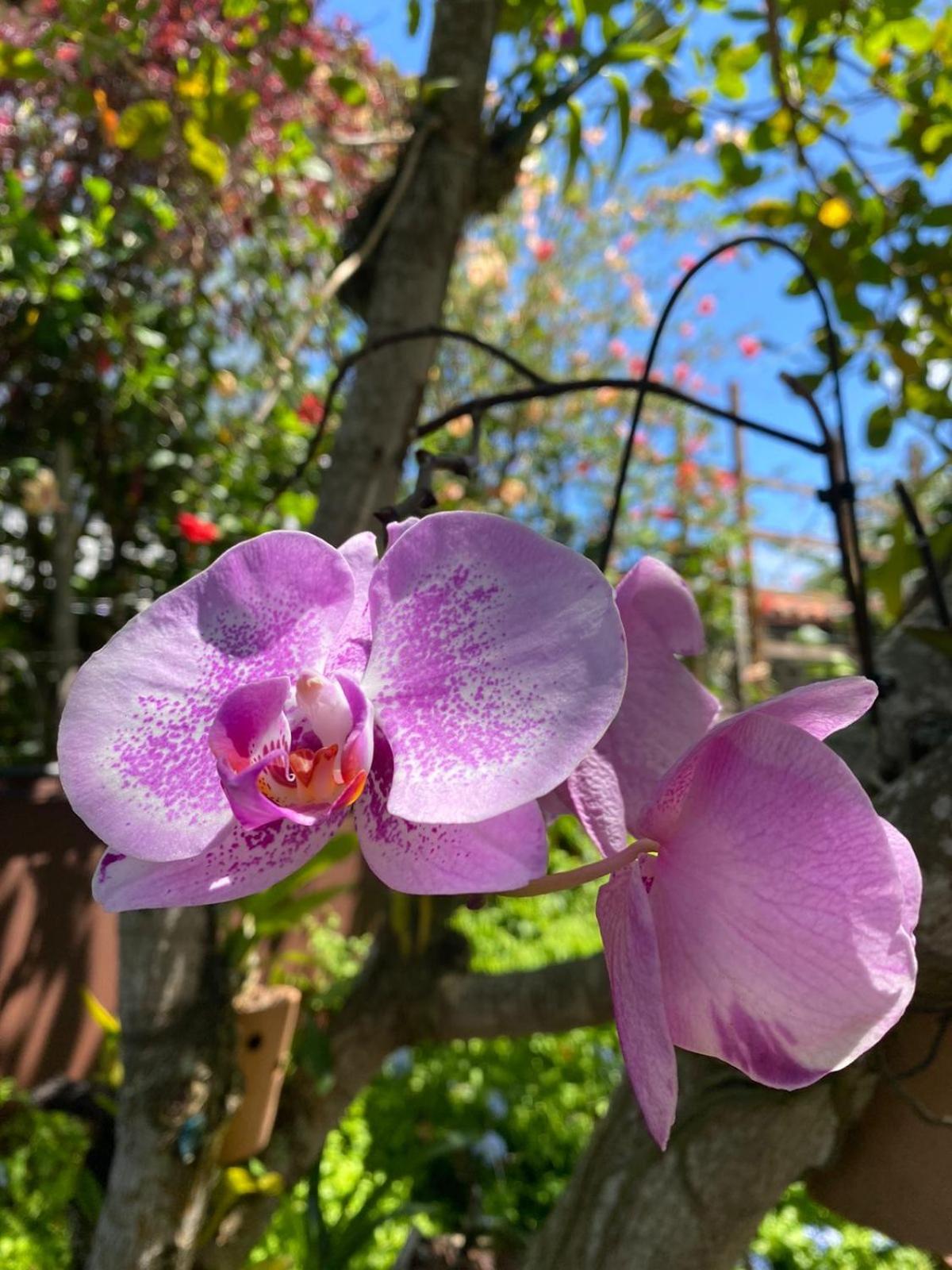 Casa 10 suítes, até 64 pessoas, Praia Ferradura