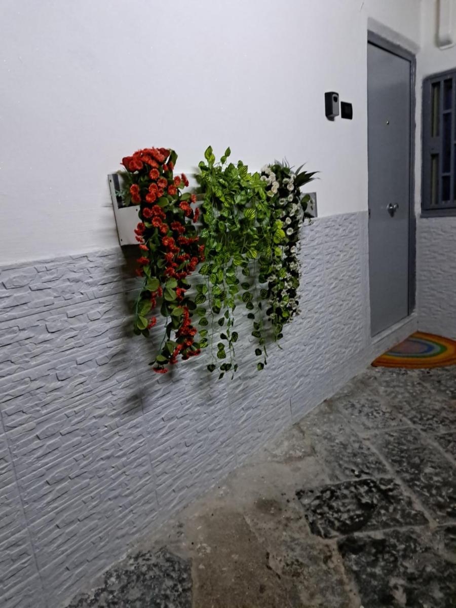 Casa Storica