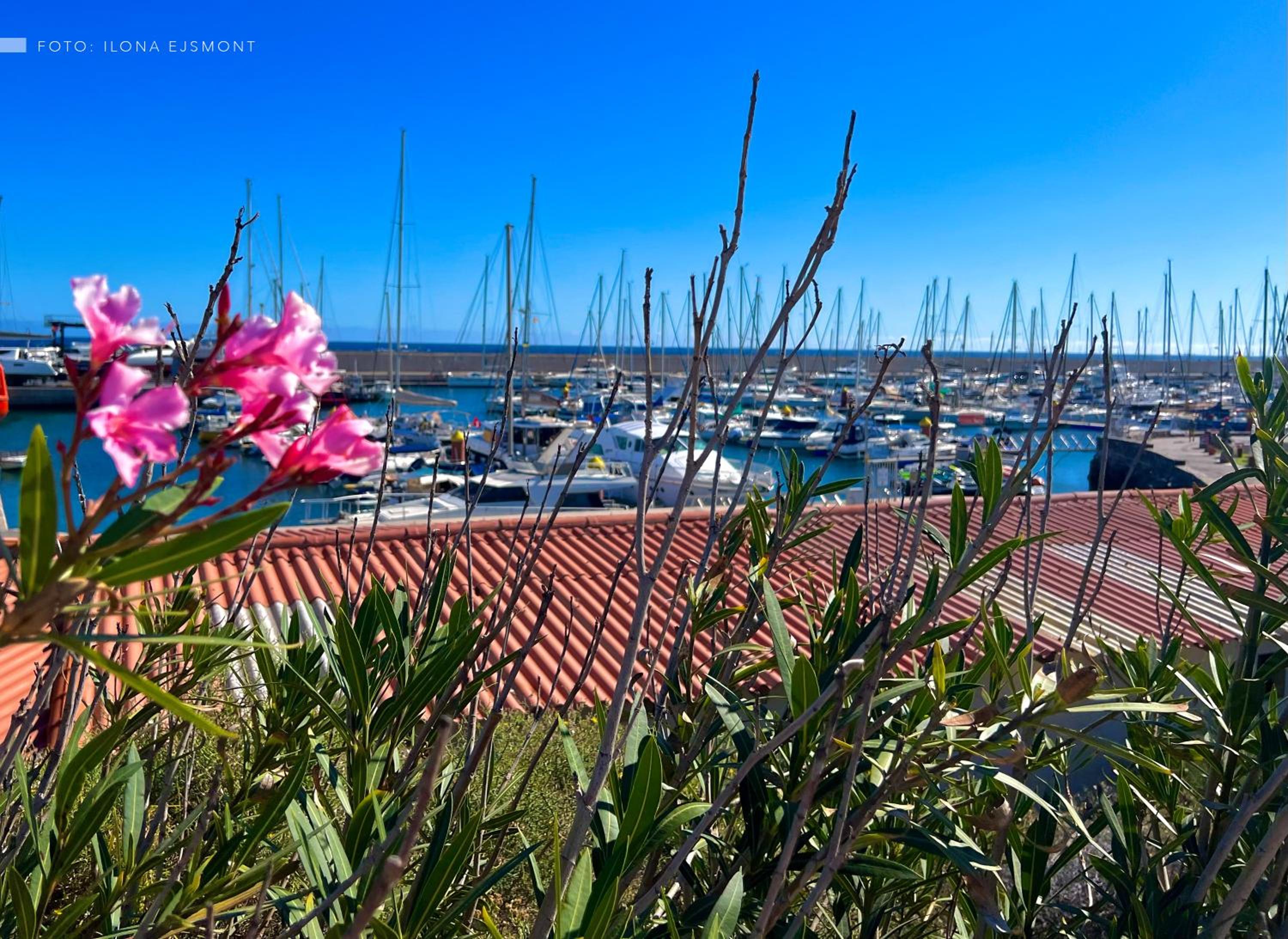 Apartamento Isla Feliz view 5