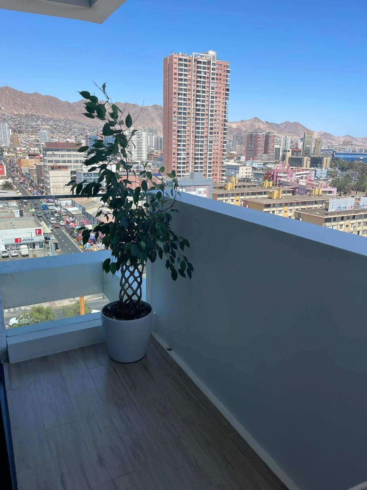 Espectacular vista Antofagasta-SOLO ADULTOS