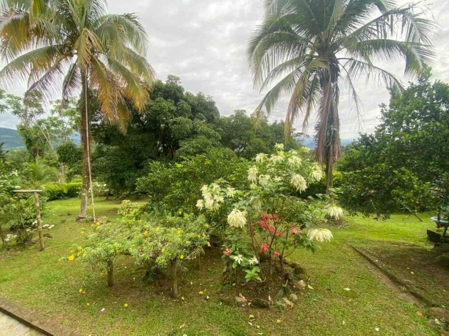 FINCA EL PORVENIR