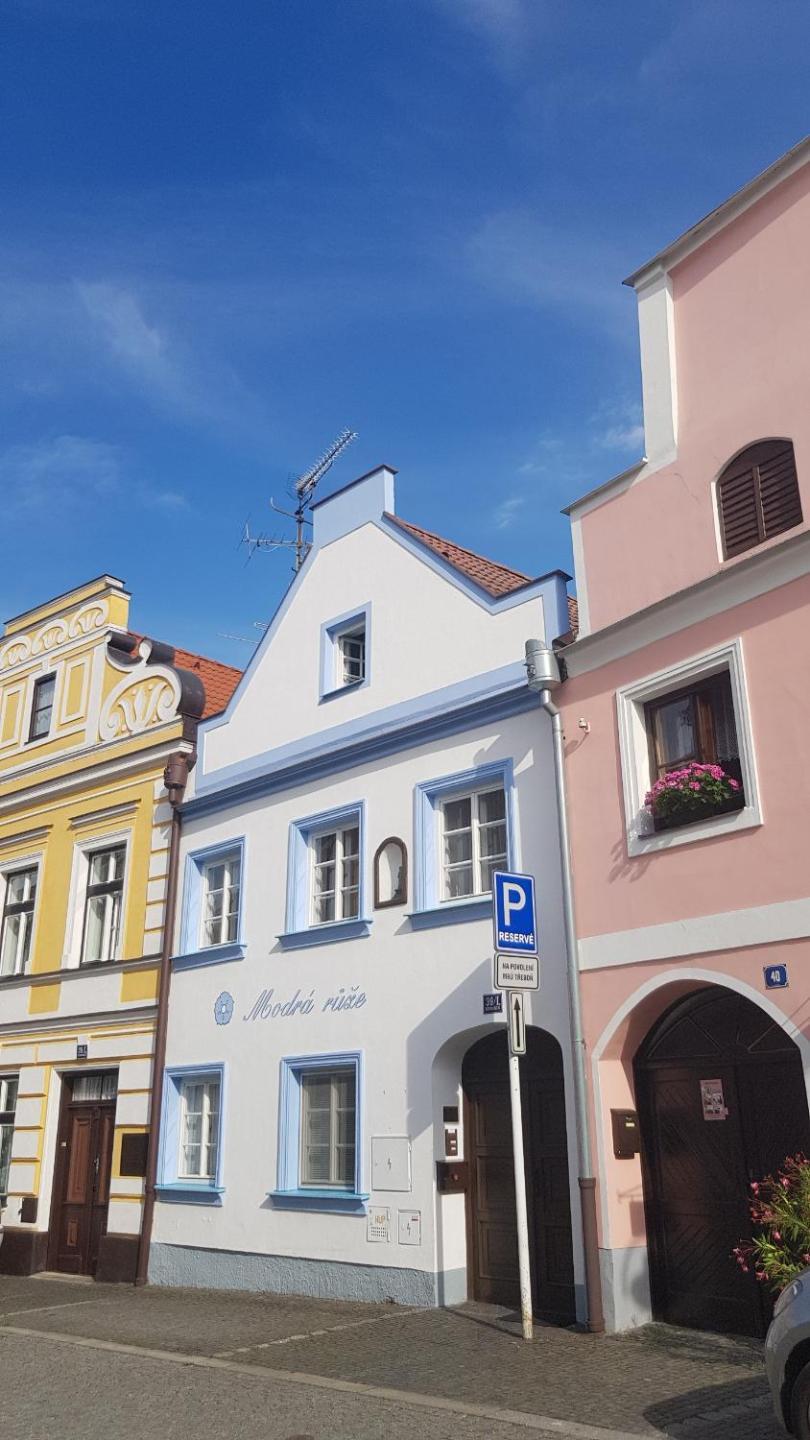 Modrá růže Třeboň