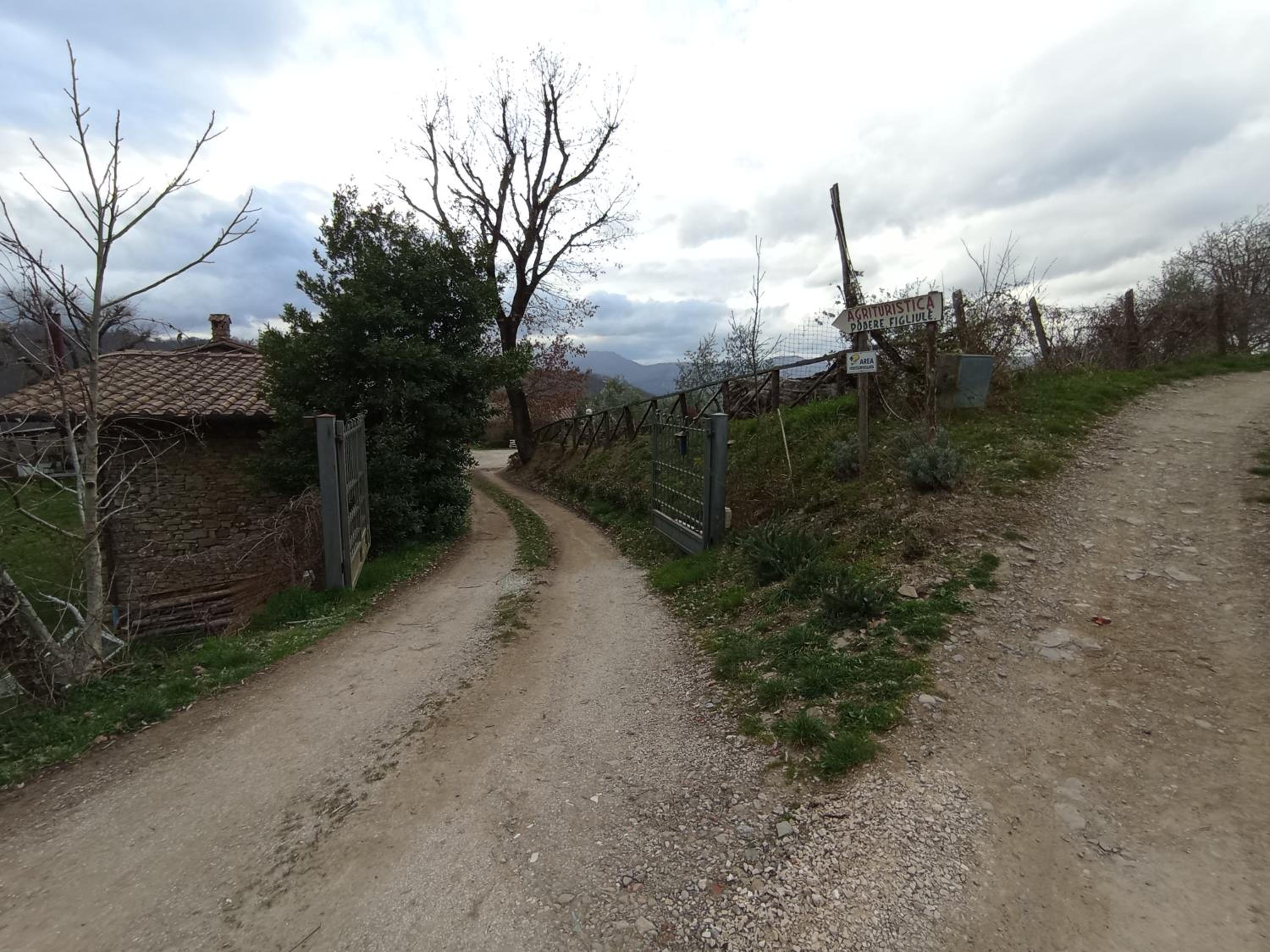 Photo 30